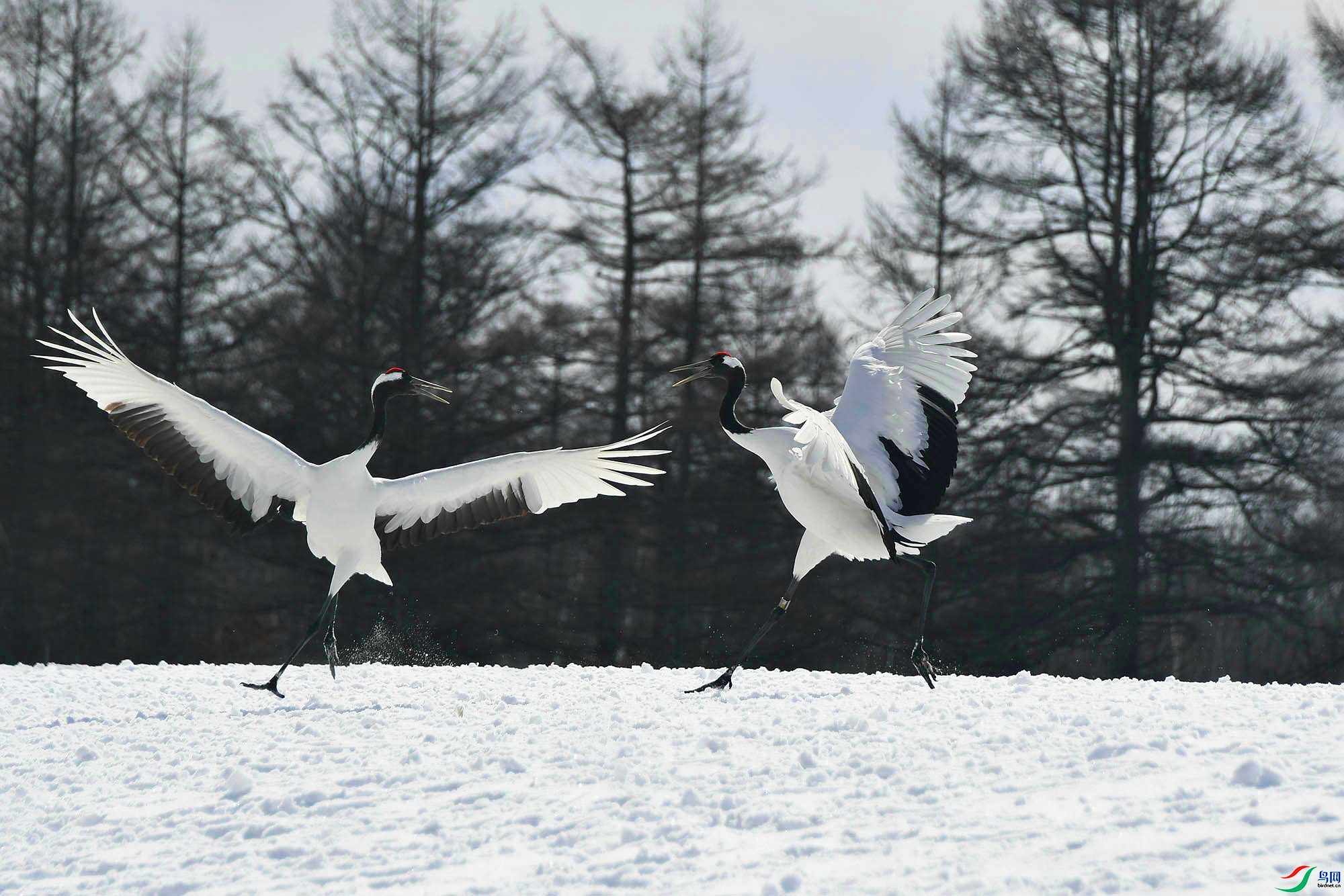 9.22��Ϲ������ʦ��Ʒ   ���� ��ף���ٻ��Ա������.jpg