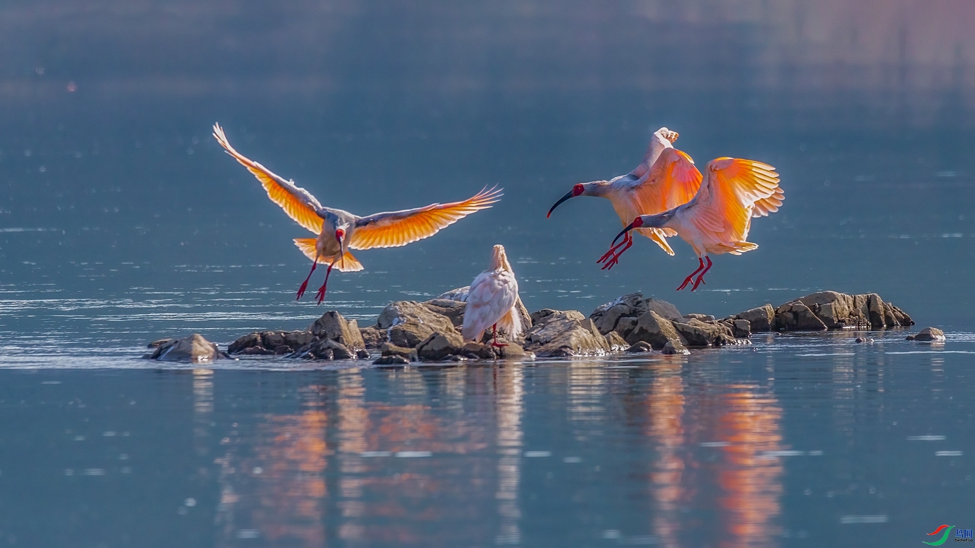 9.28�ƽ�Ҷ��ʦ��Ʒ   ���q�������� ��ף���ٻ����Ѿ�����.jpg