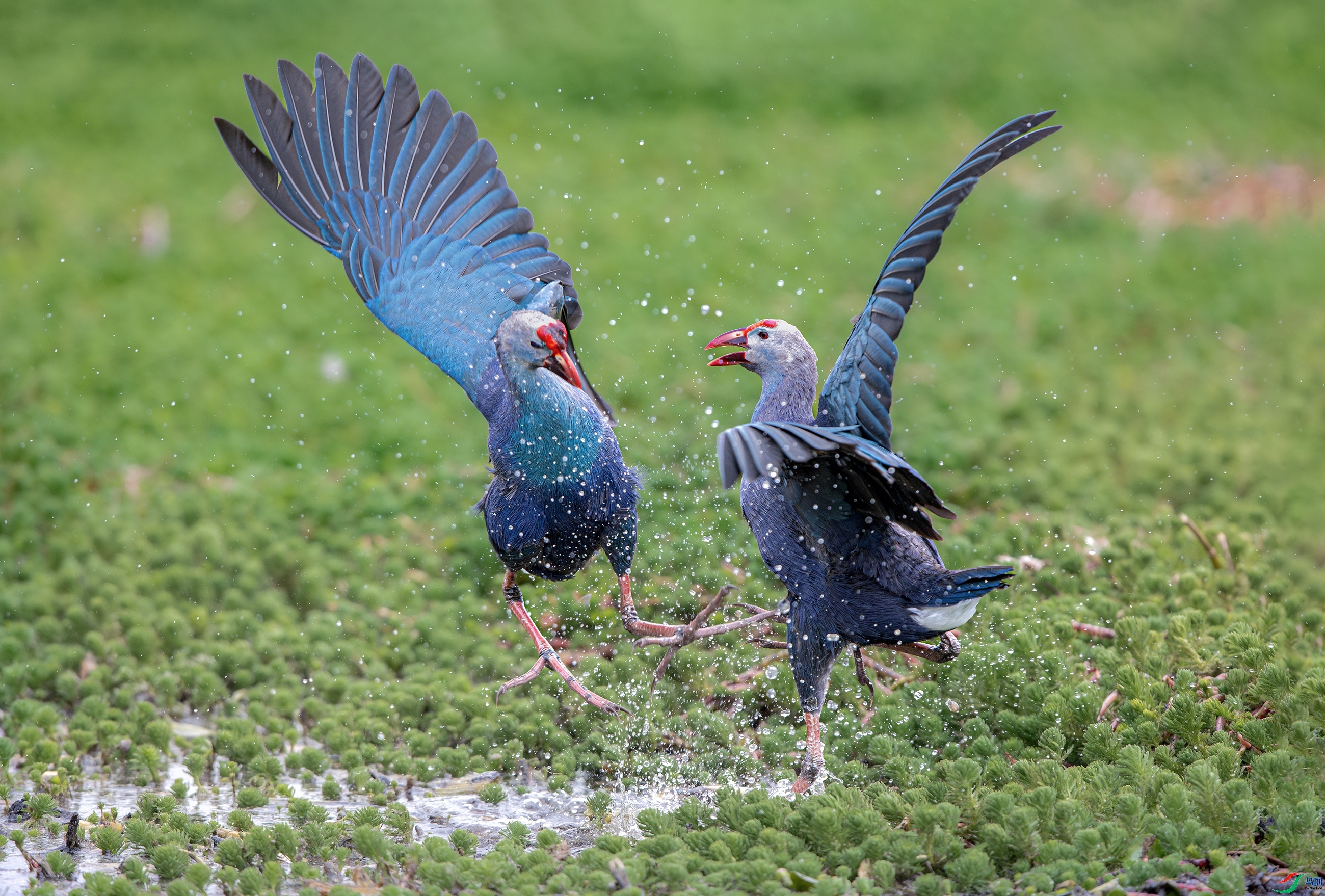 9.29��ñ213��ʦ��Ʒ   ��l�ܣ�ף���ٻ����������.jpg