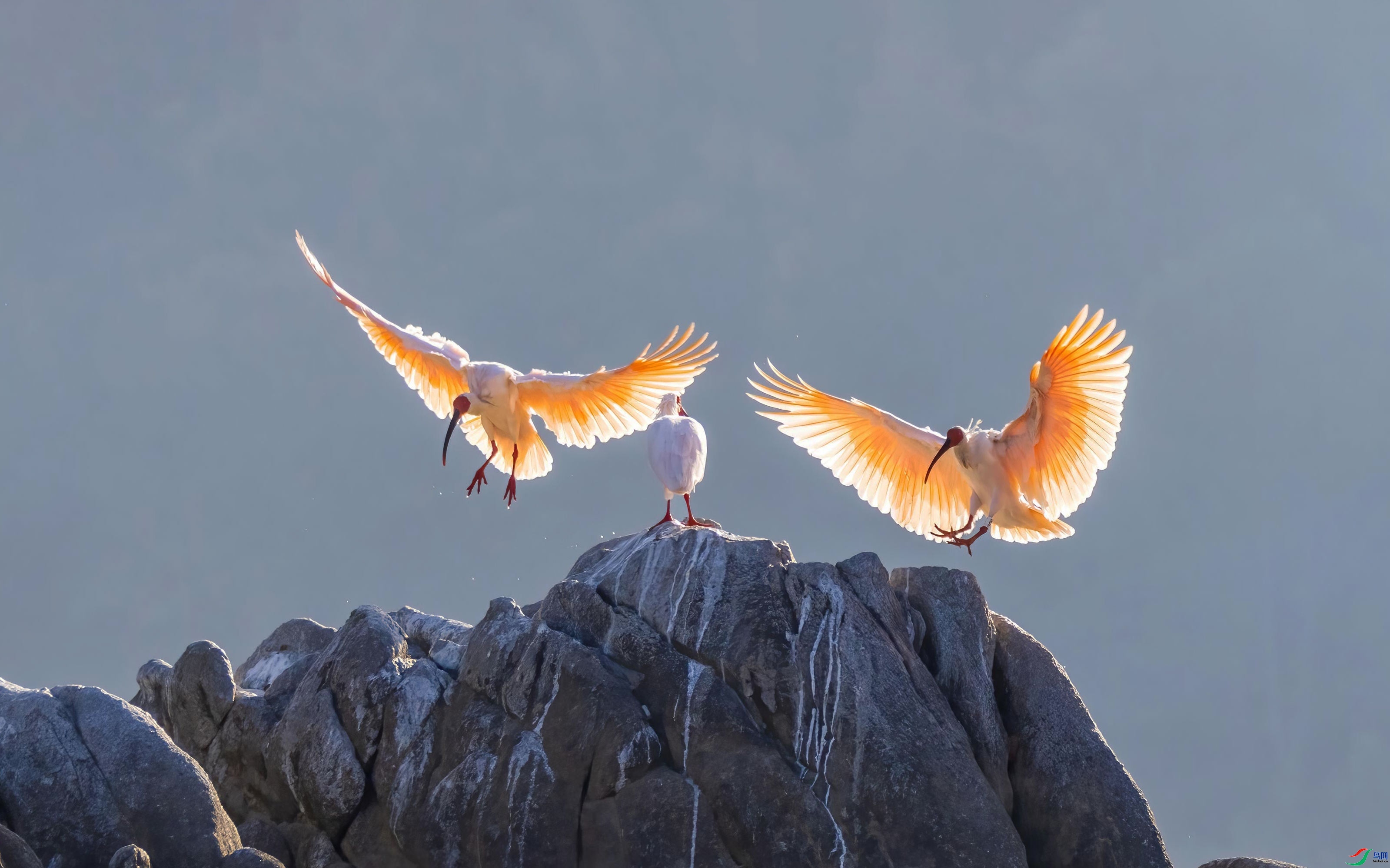 10.1�ɶ��Ͻ���ʦ��Ʒ  ������� ������죨ף���ٻ����������.jpg