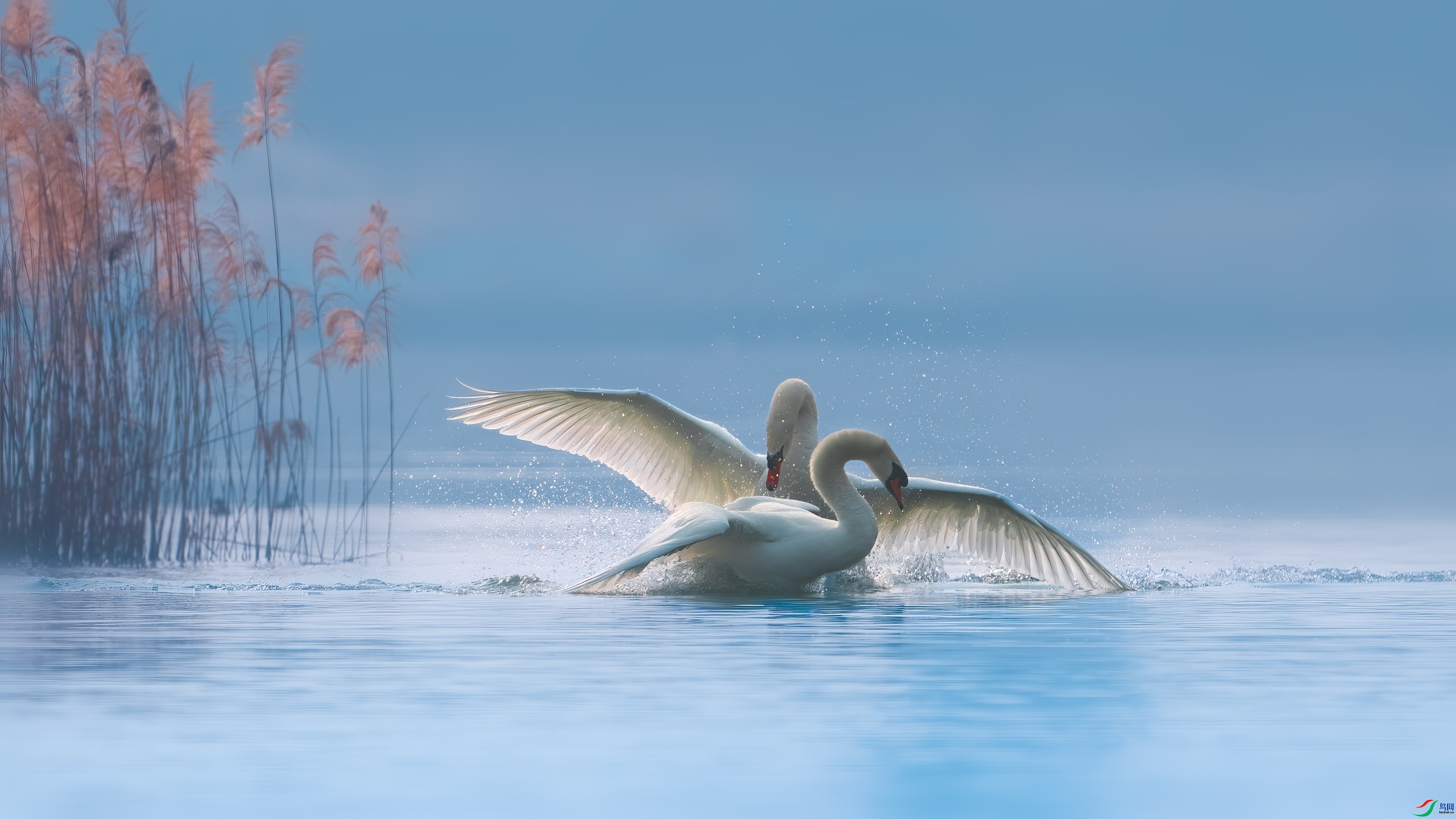 10.3����������ʦ��Ʒ   ˮ�ϰ��٣�ף���ٻ���Ӱʦ������.jpg