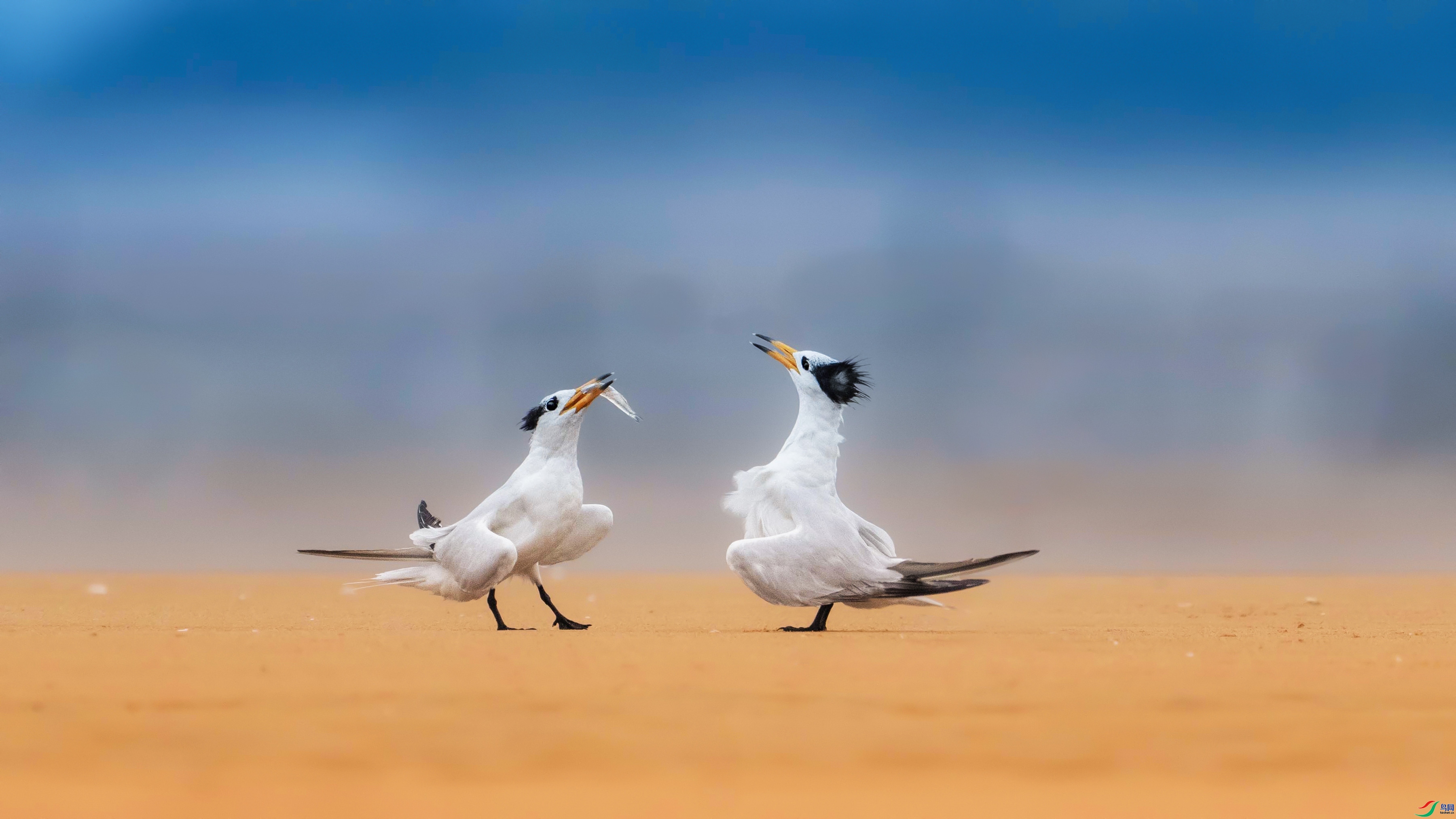 10.4����������ʦ��Ʒ   �ھ���ף���ٻ���Ӱʦ������.jpg