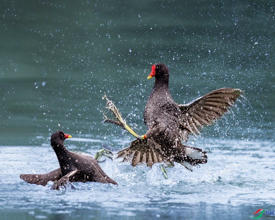 9.20���ר��ʦ��Ʒ  ����һ�ţ�ף�ؼ����ٻ���Ӱʦ������.jpg
