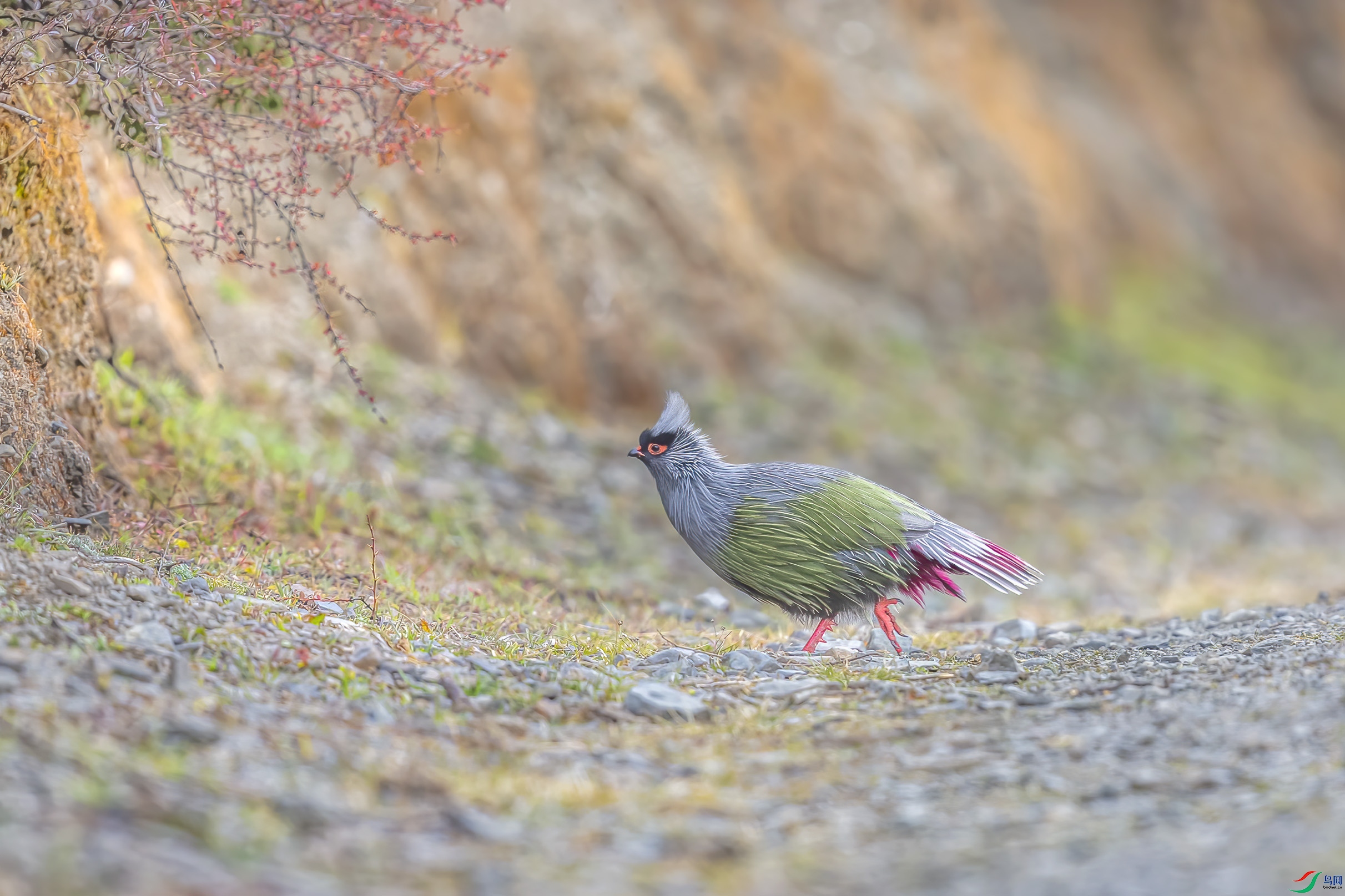 C09R2730 ����.jpg