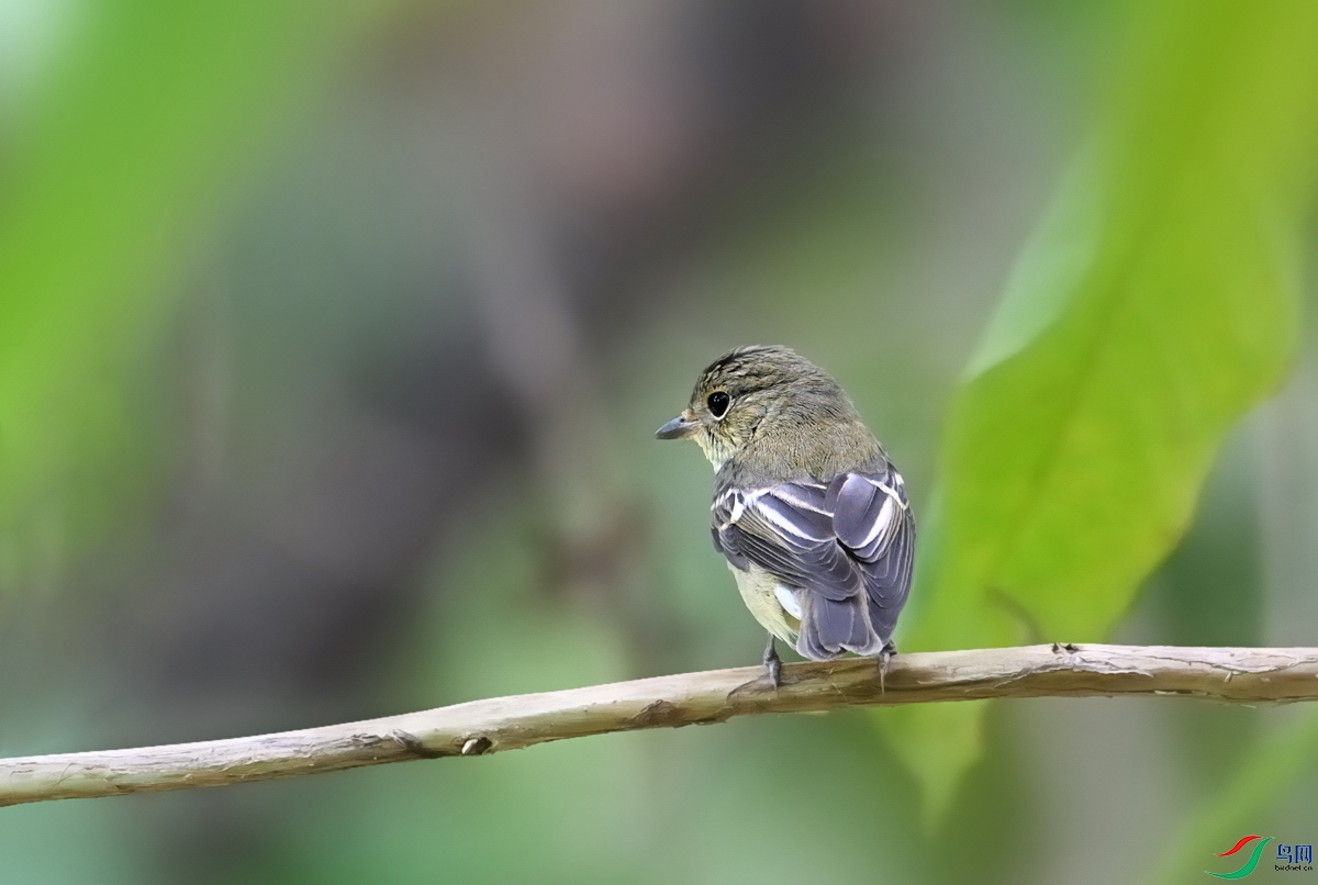 DSC_0026.jpg