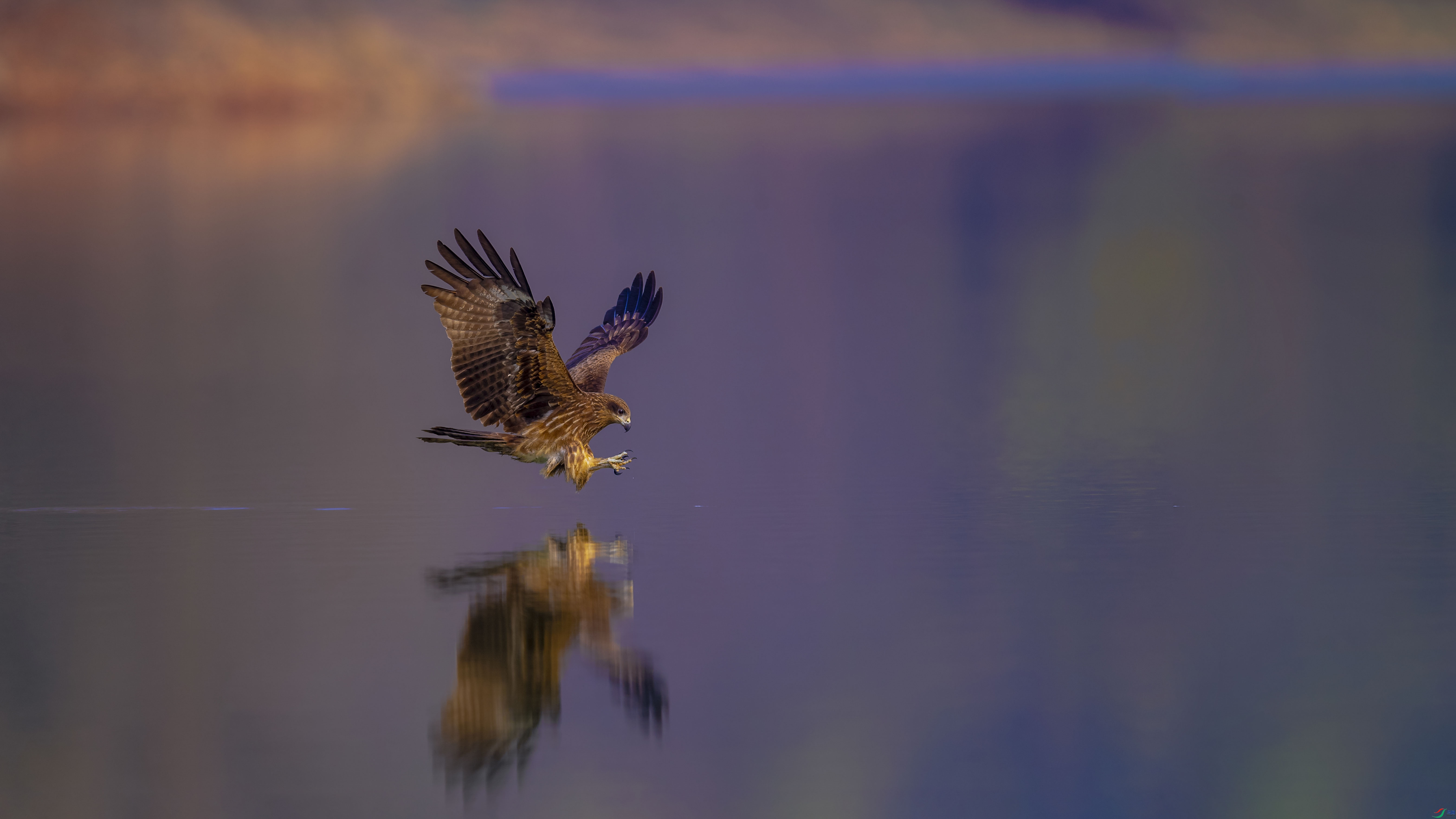 _DSC6609-0-1.jpg