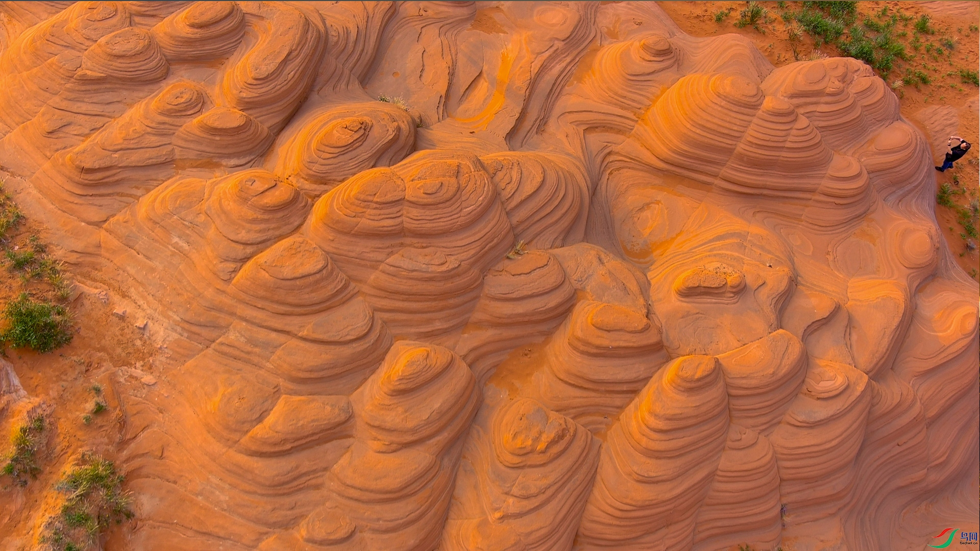 DSC_4291 ����...jpg