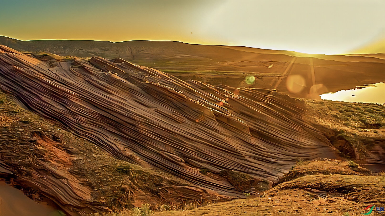 DSC_4293. ����..jpg