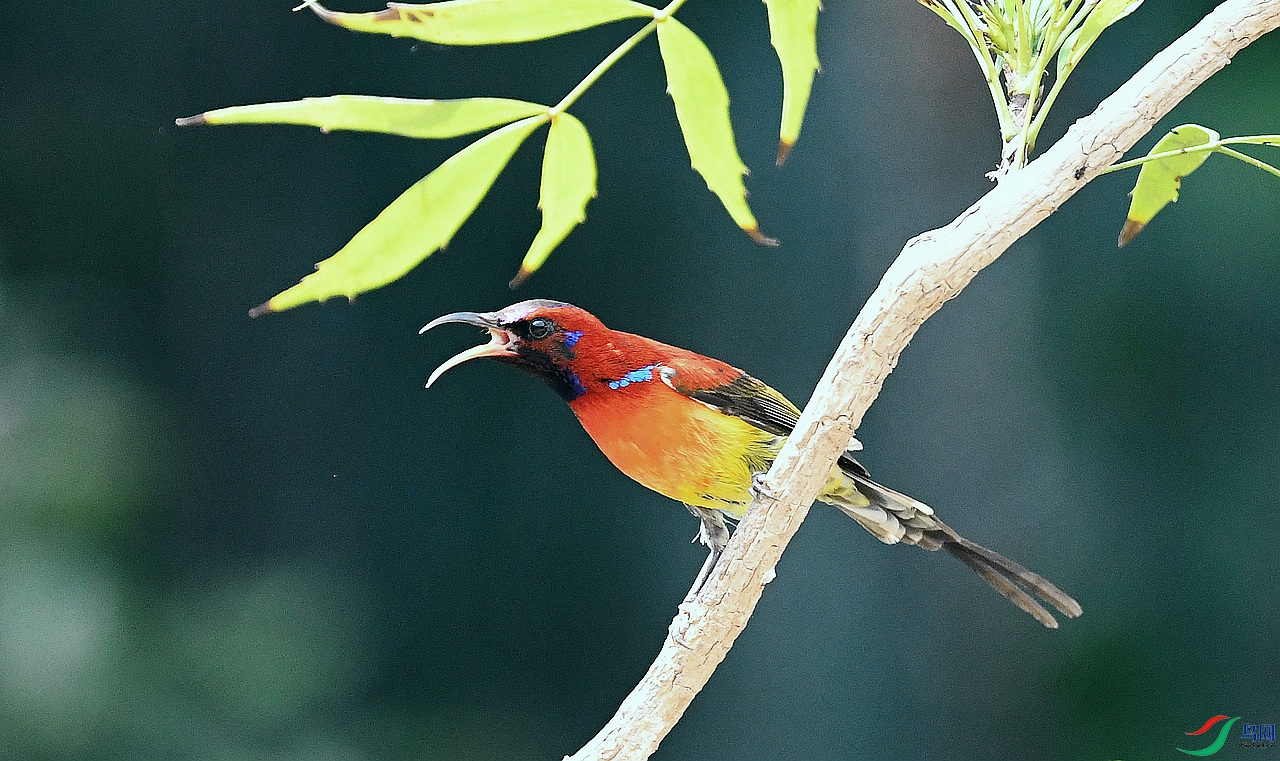 ��β̫����  9.11.JPG