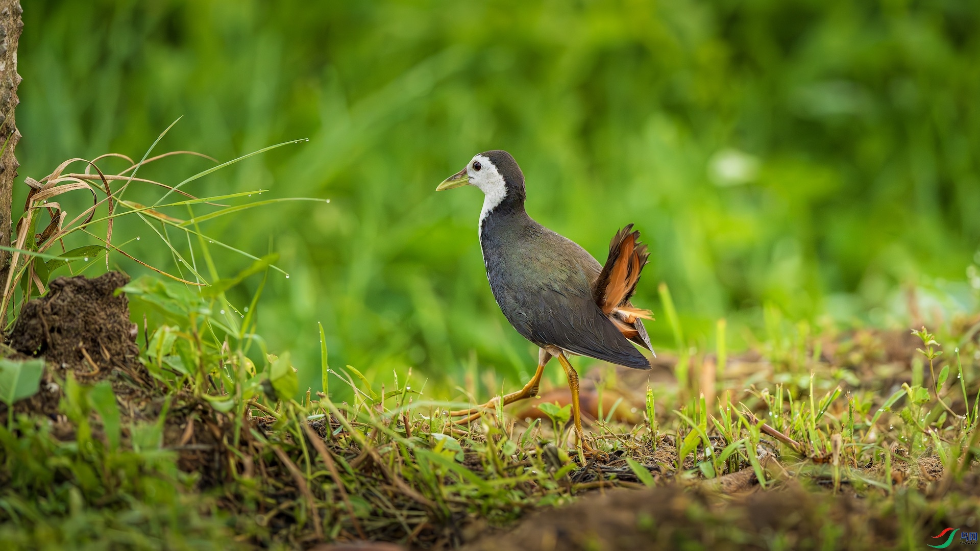 1_DSC7514-����ǿ-NR ����.jpeg