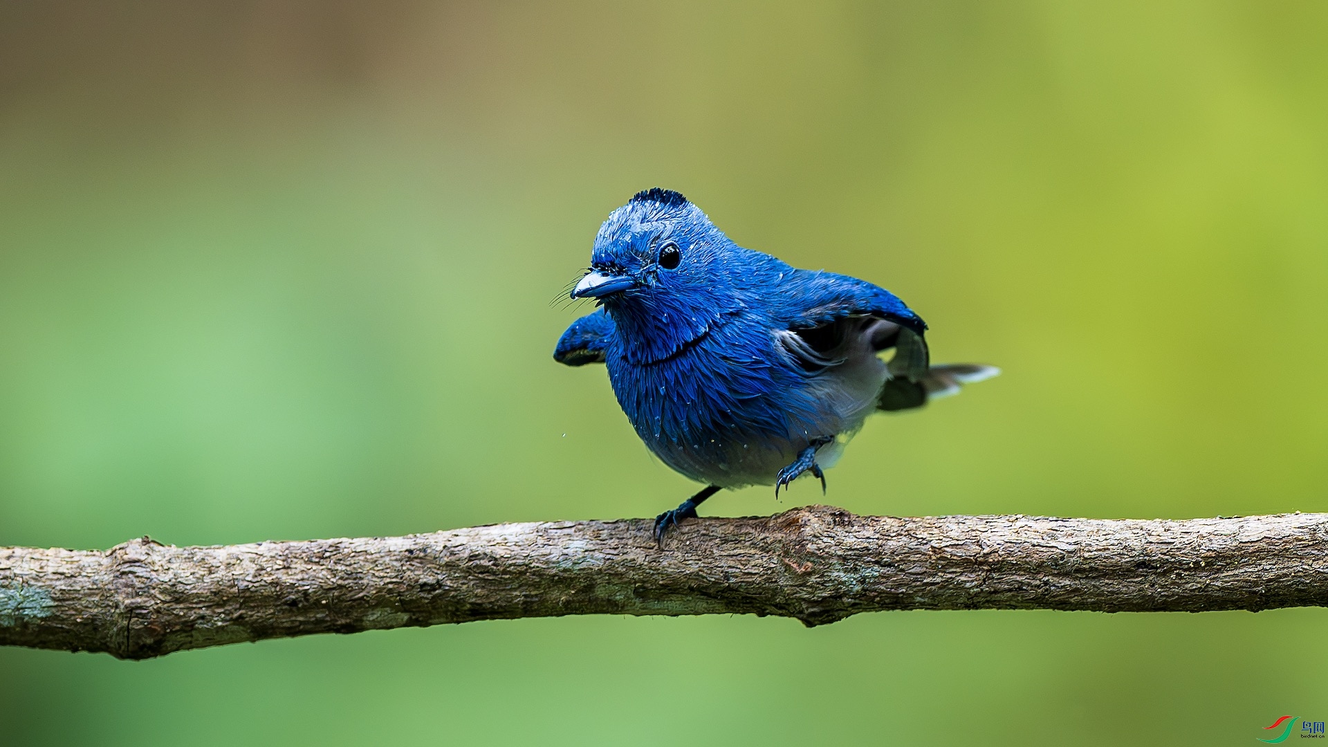 1_XXL1435-����ǿ-NR ����.jpeg