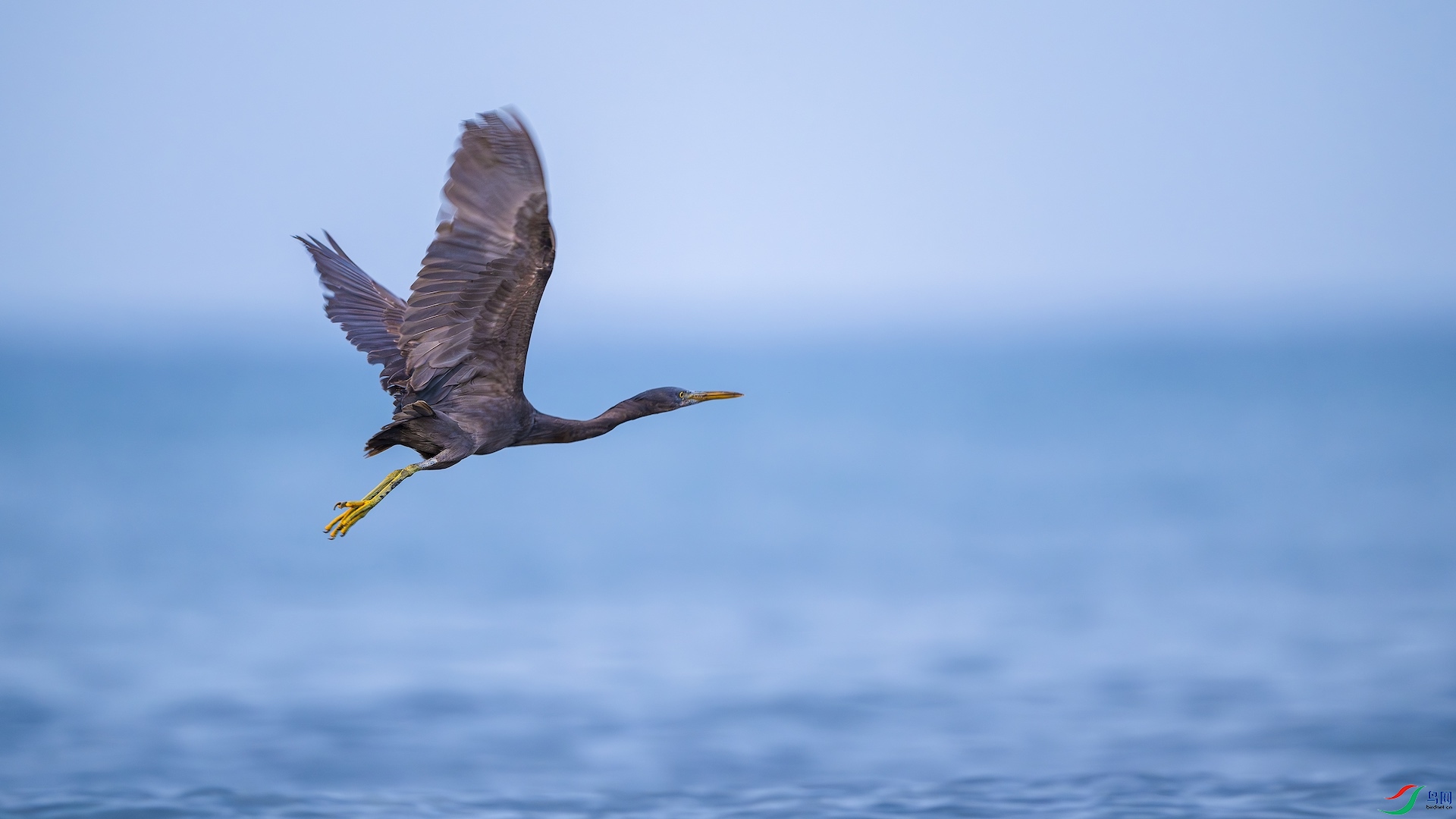 1_XXL4840-����ǿ-NR ����.jpeg