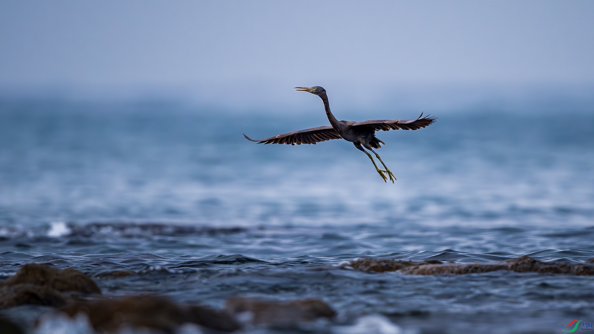 1_XXL5073-����ǿ-NR ����.jpeg