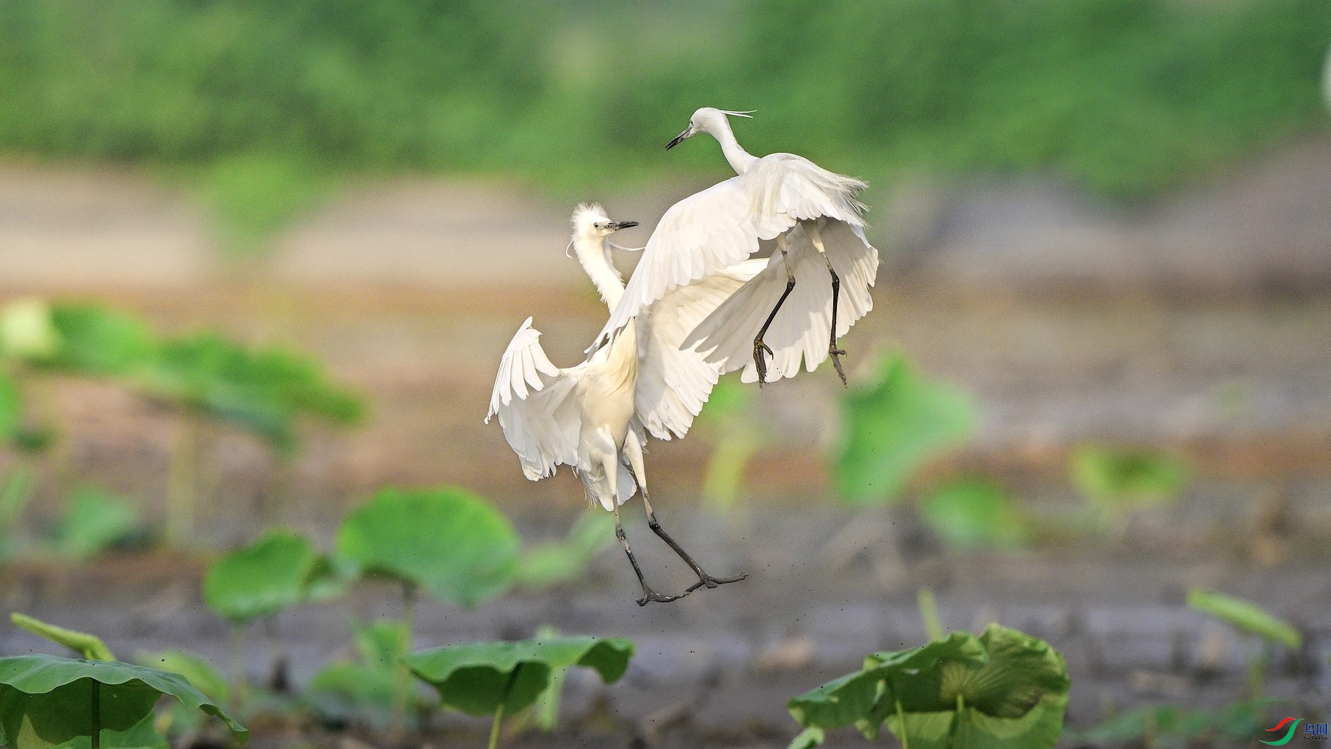 1_XXL5773 ���� 2�ĸ���.jpeg