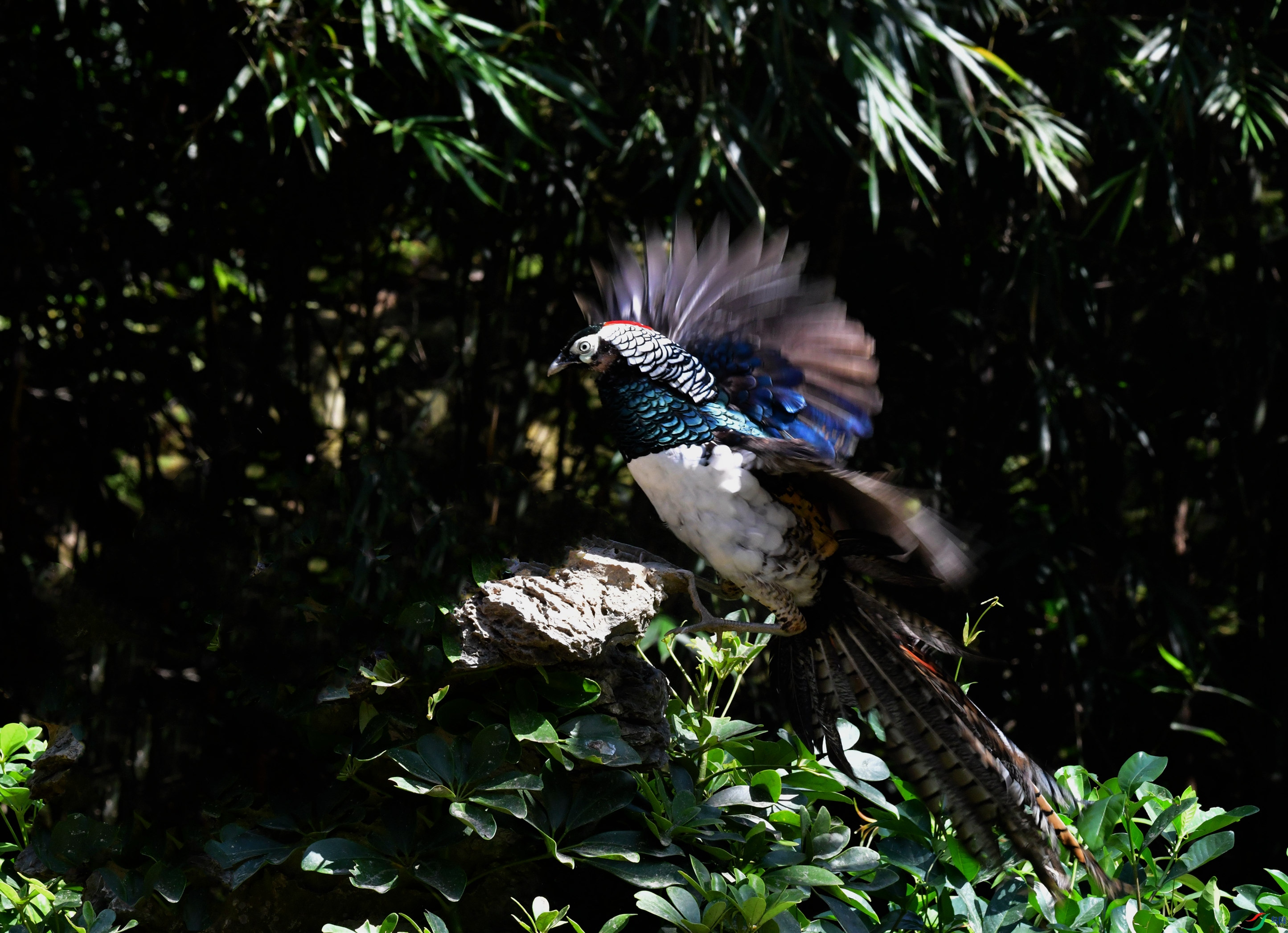 DSC_0056_��ͼ��_����.jpg
