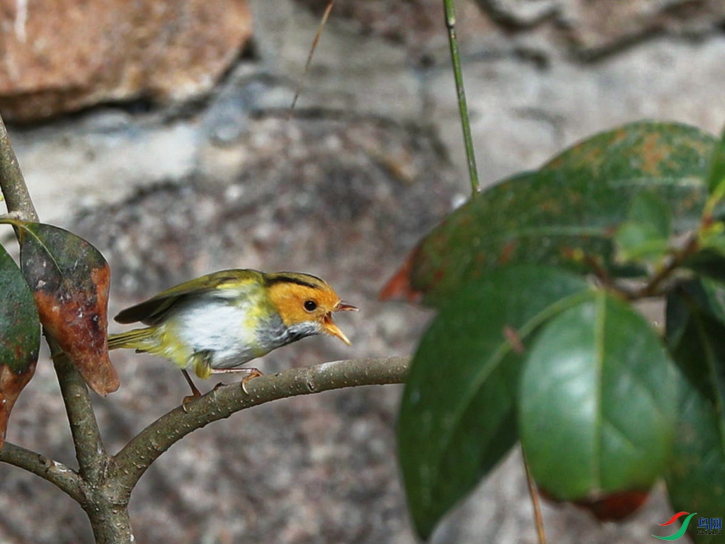 DSC20220413009.jpg