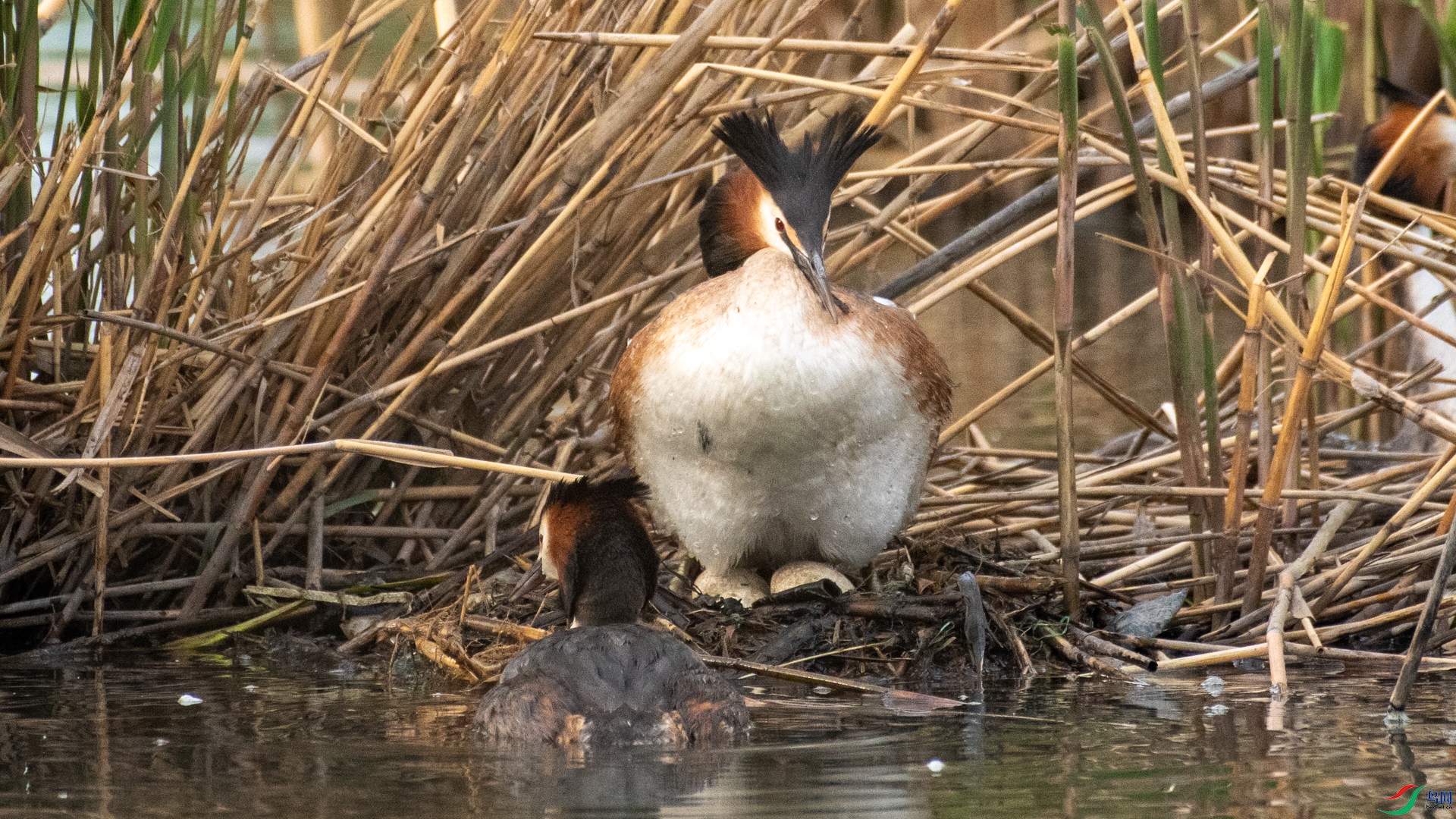 DSC_0179.jpg