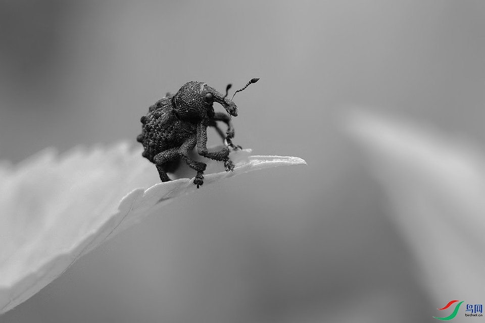DSC_5617.JPG