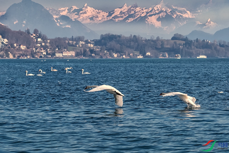 ������----�������ΰ���