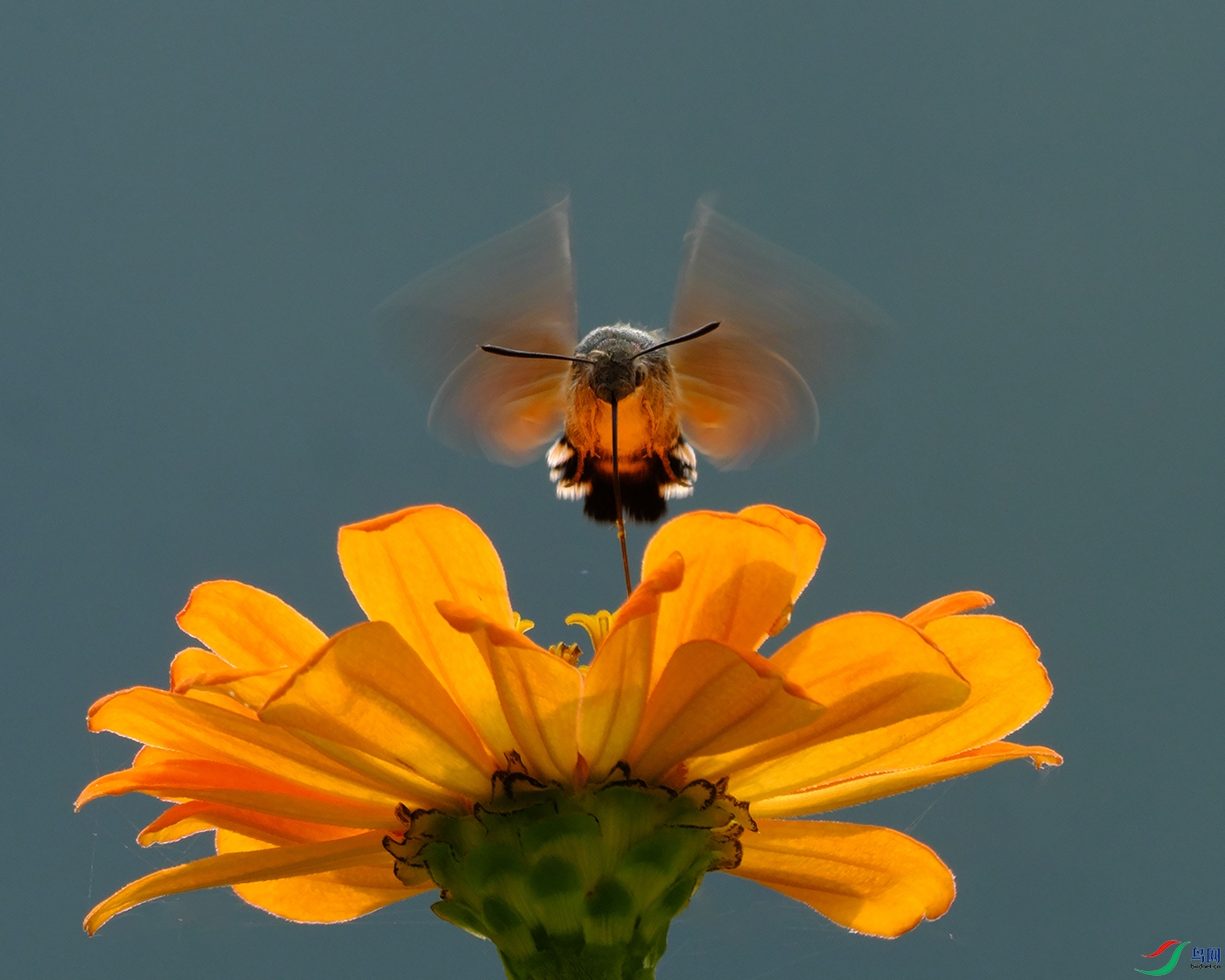DSCF5423.jpg