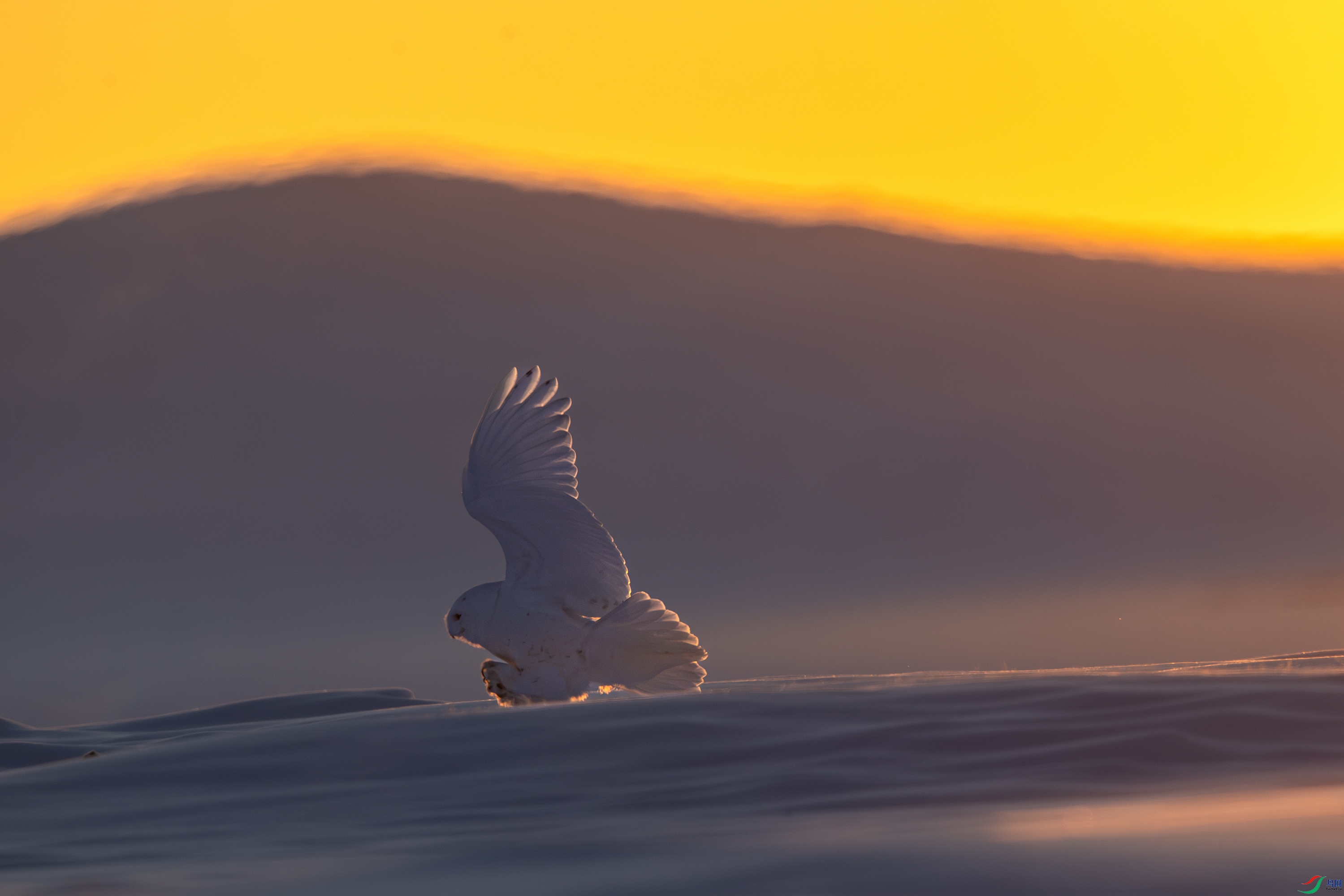 A15I7287-����ǿ-NR ����.jpg