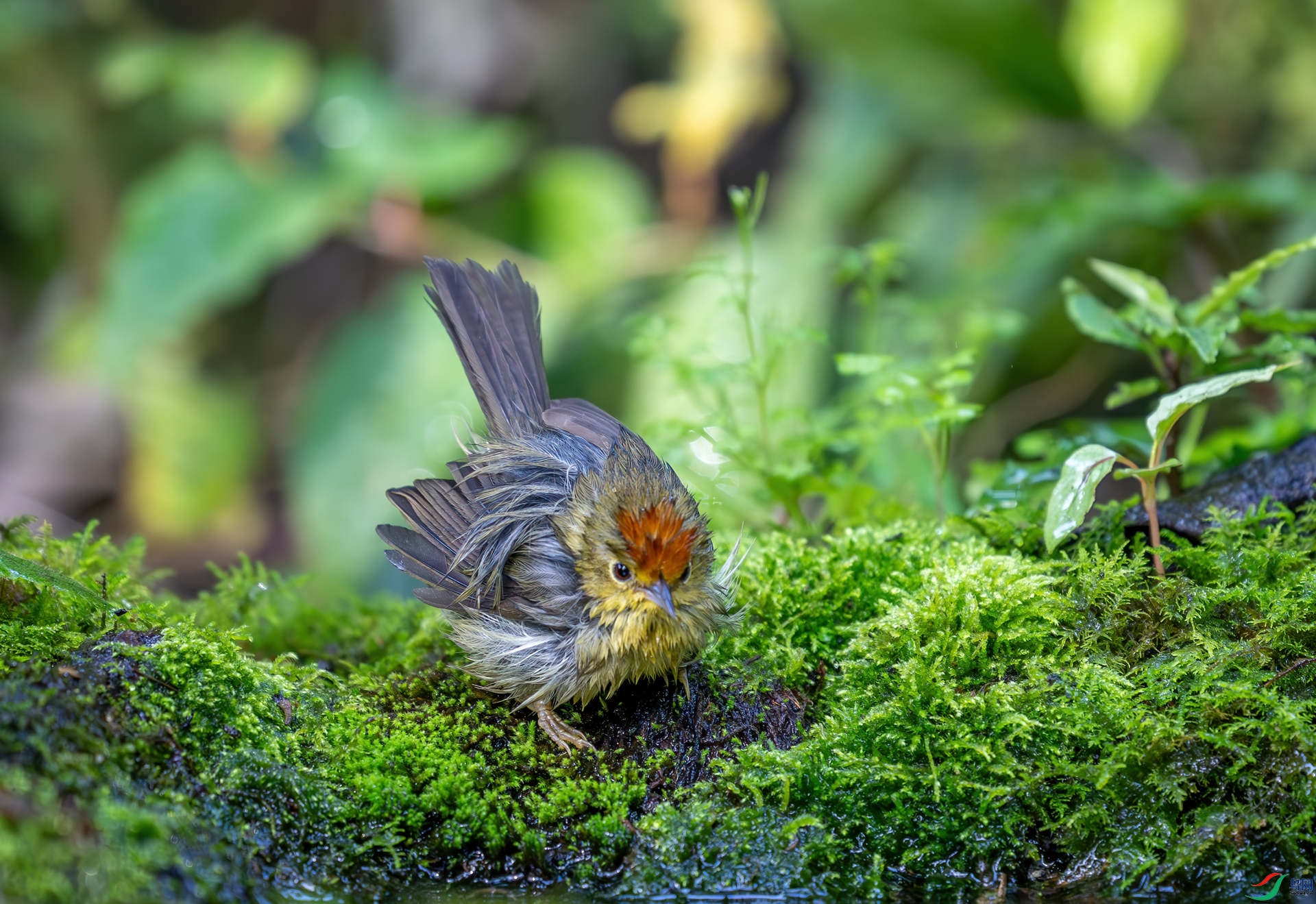 DSC_7189.jpg