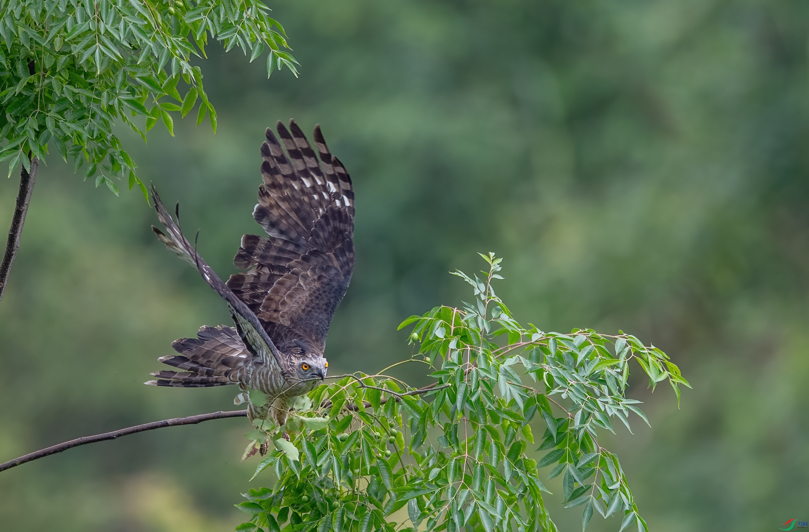 DSC_5764-1.jpg