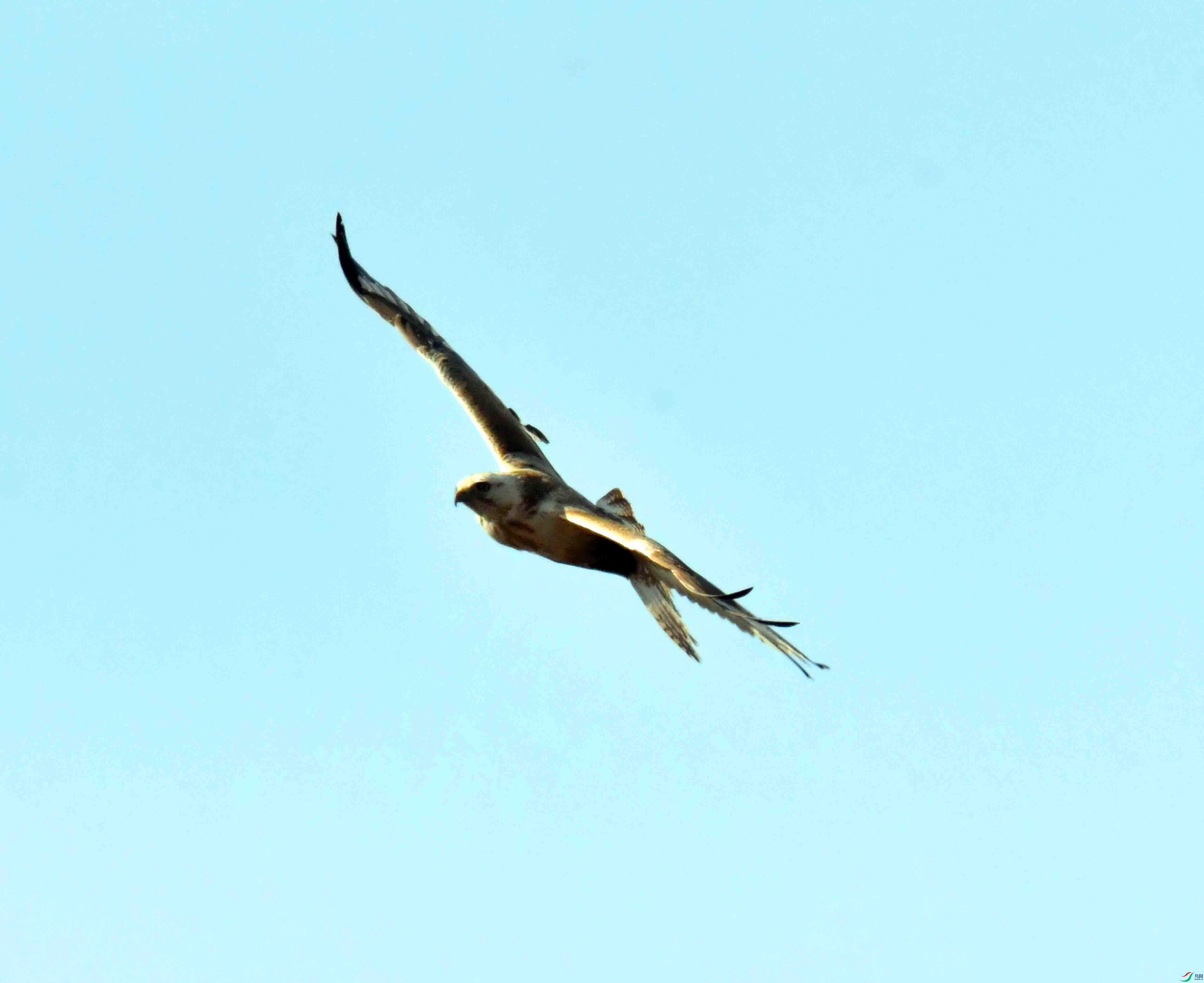 DSC_1765.JPG