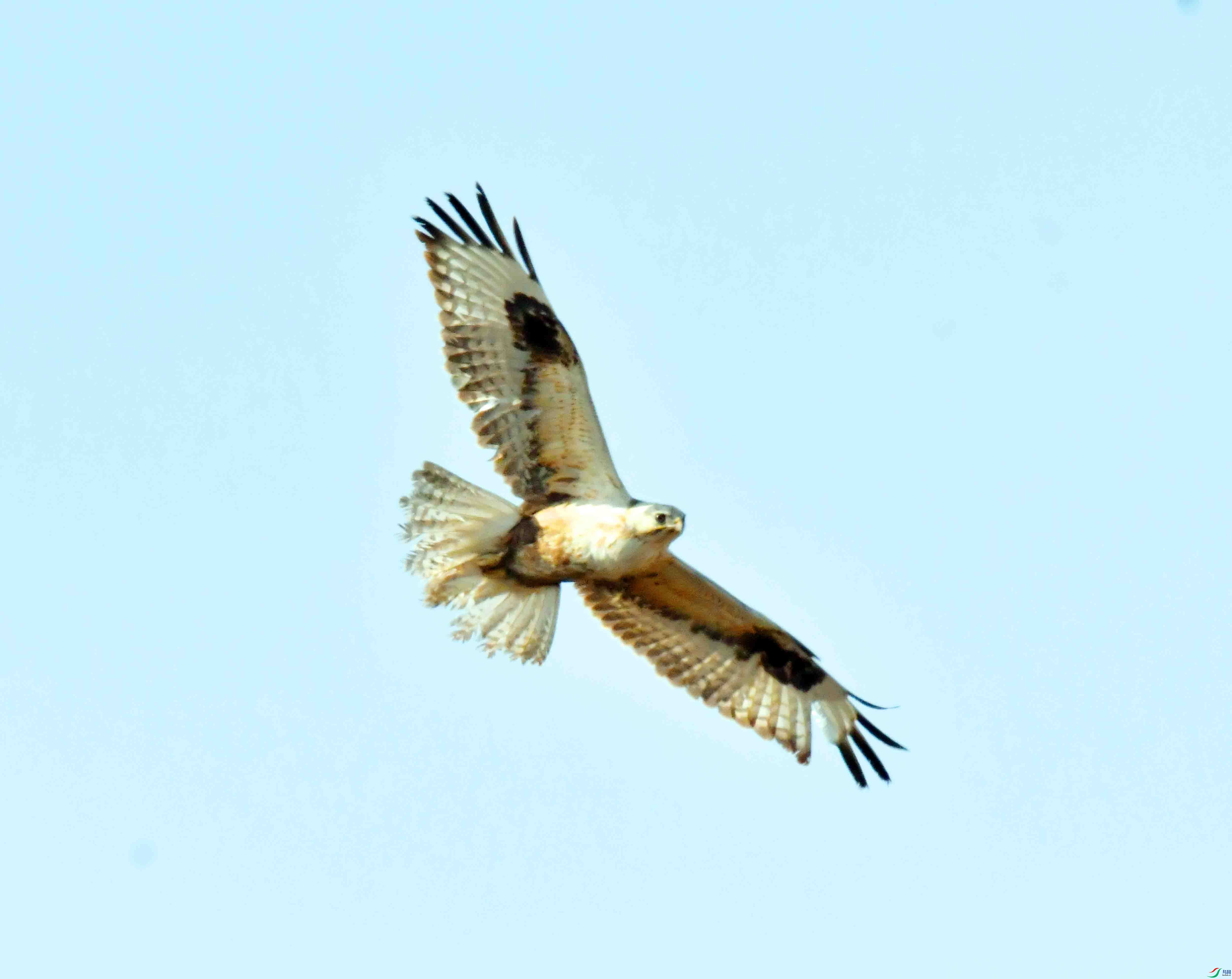 DSC_1771.JPG