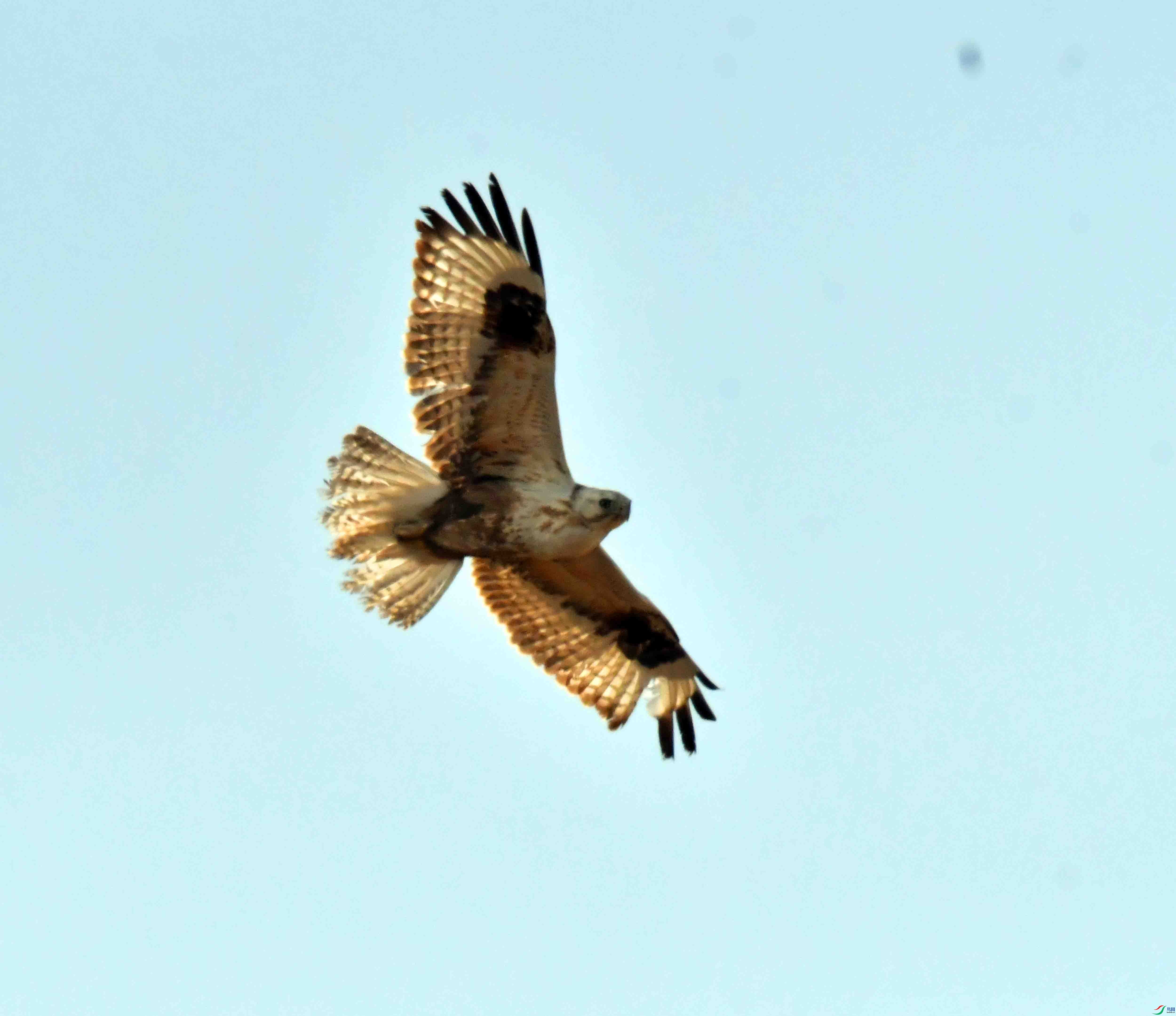 DSC_1773.JPG
