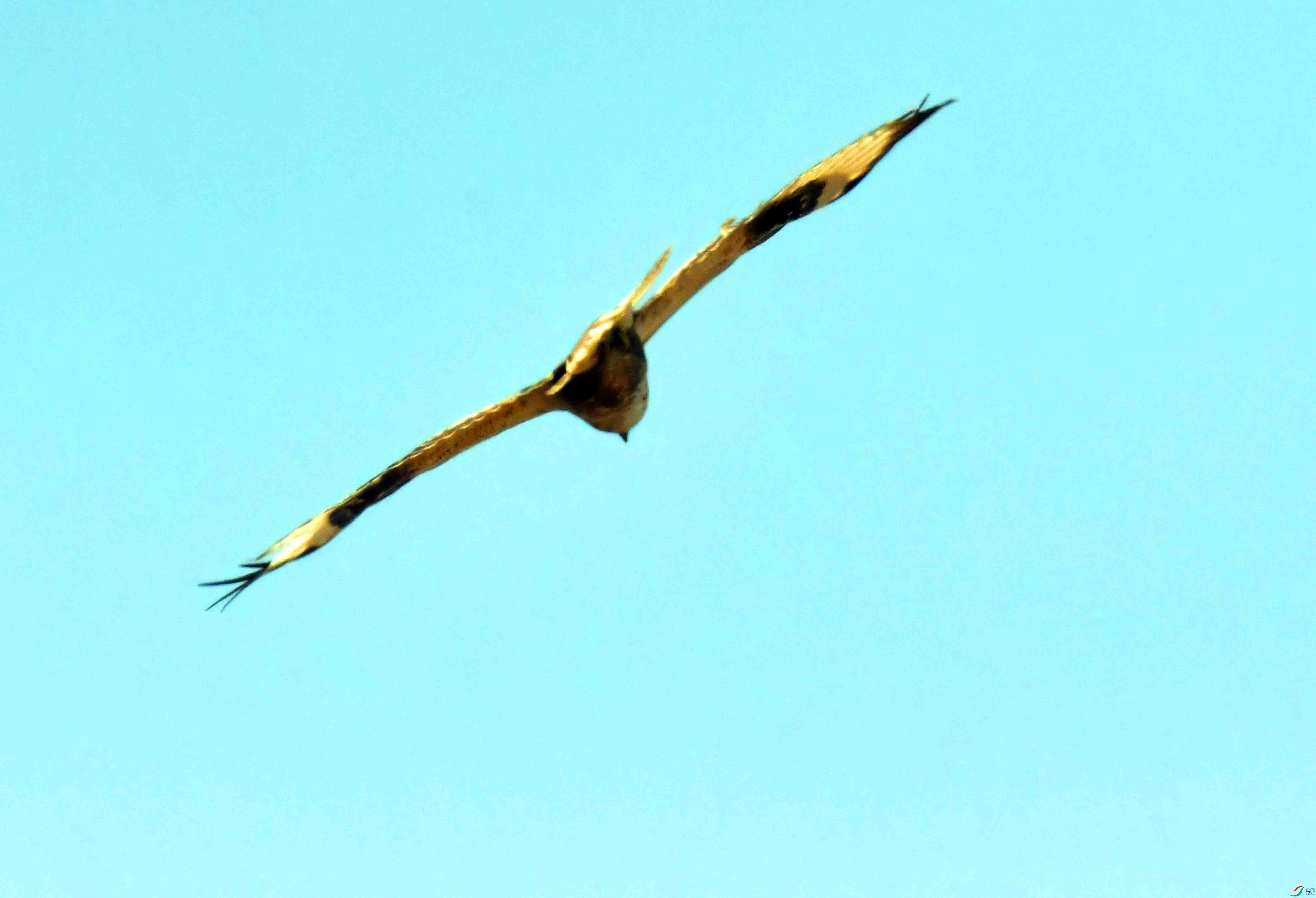 DSC_1786.JPG