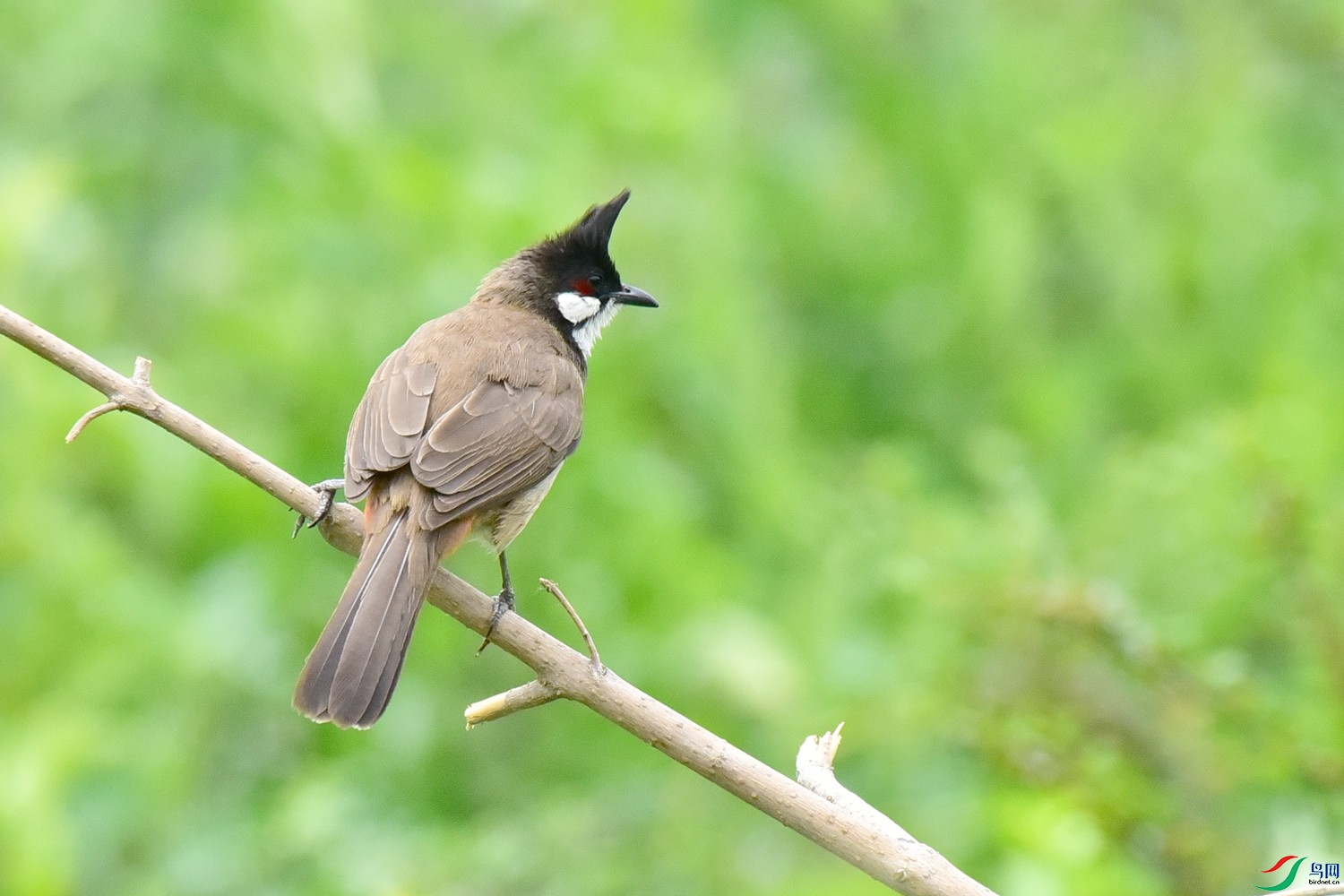 DSC_2706.JPG