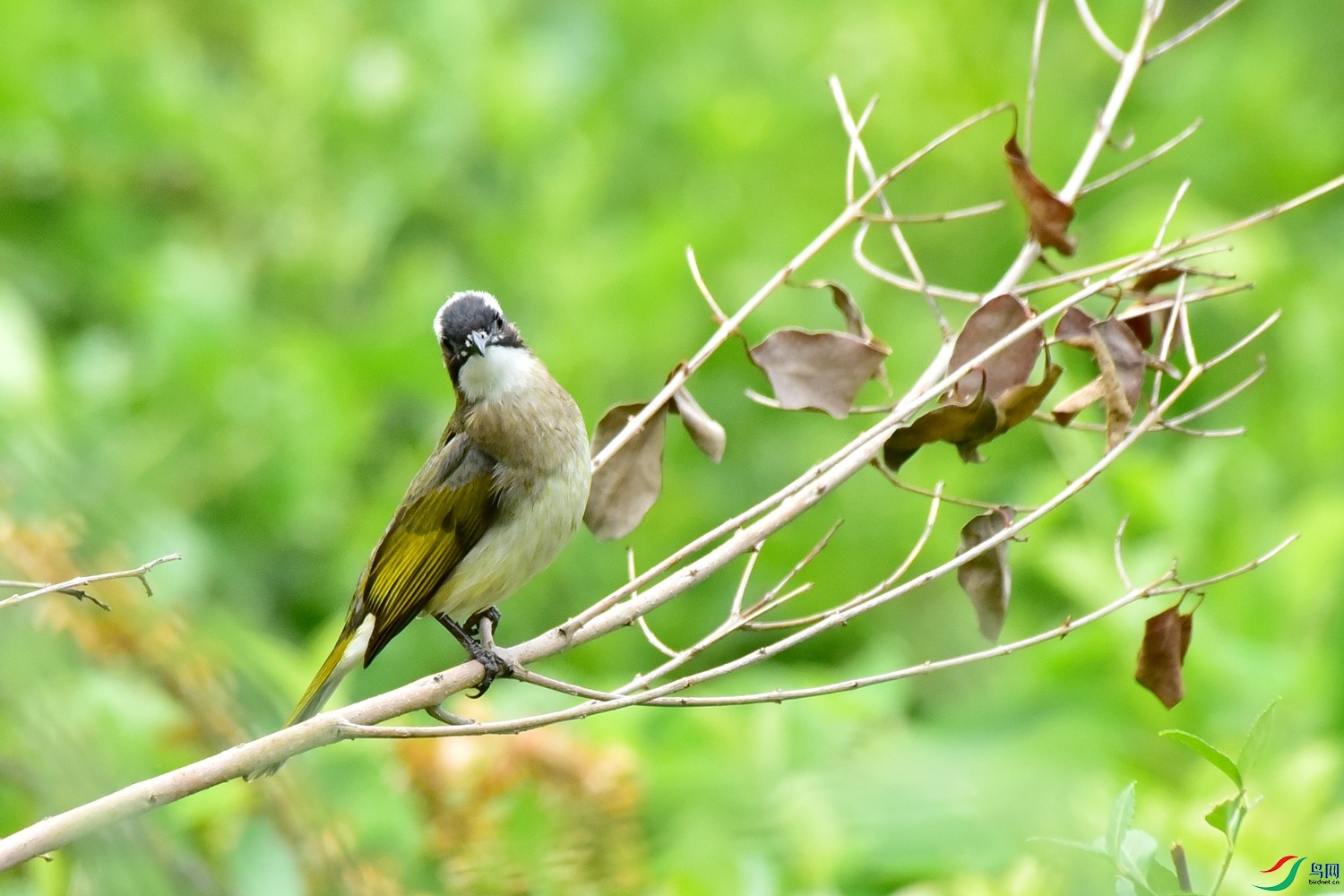 DSC_2754.JPG