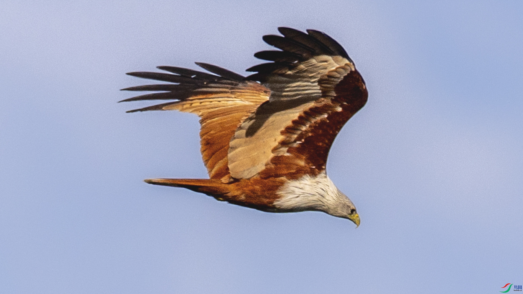 4Z6A5988.jpg