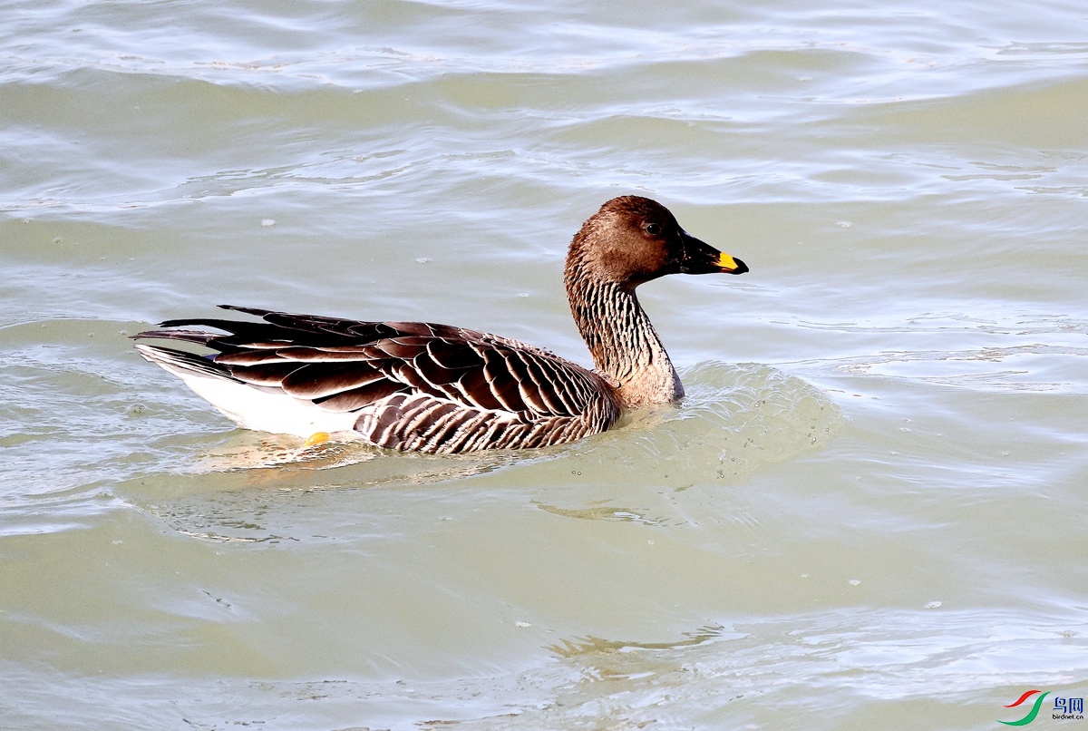 3A7246����-24.JPG