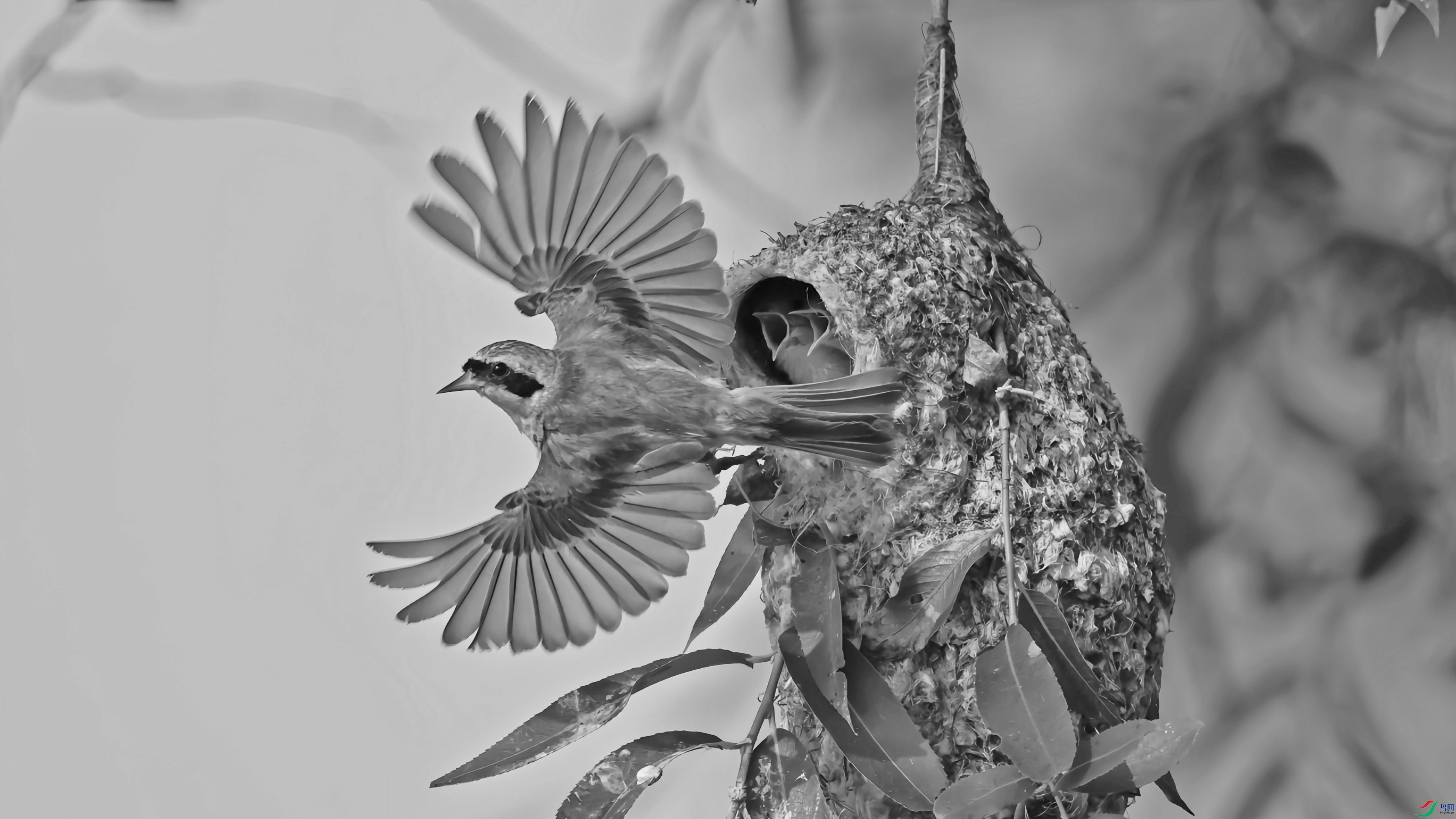 2F6A3458_����_����.jpg