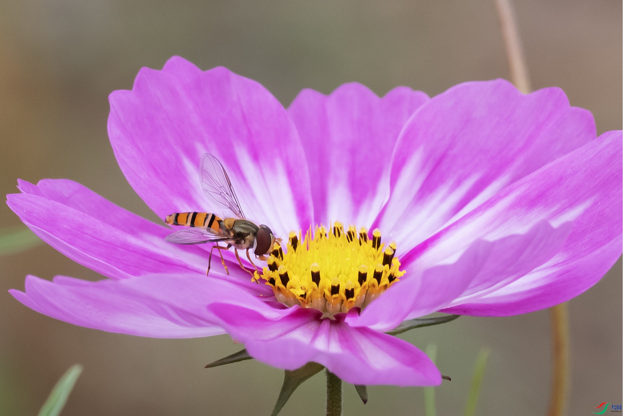 DSC_4506 ����.jpg