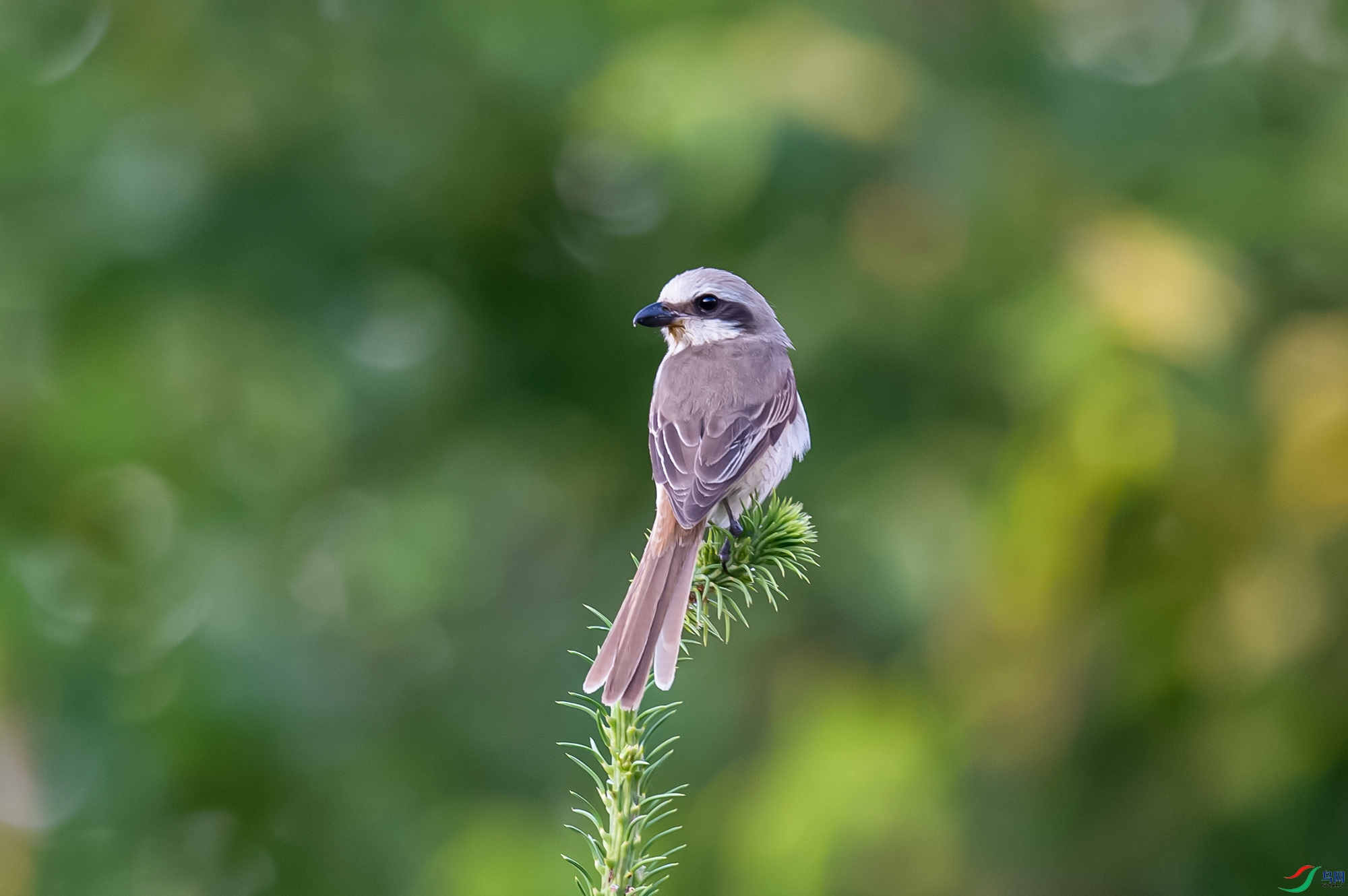 _DSC4554_����.jpg