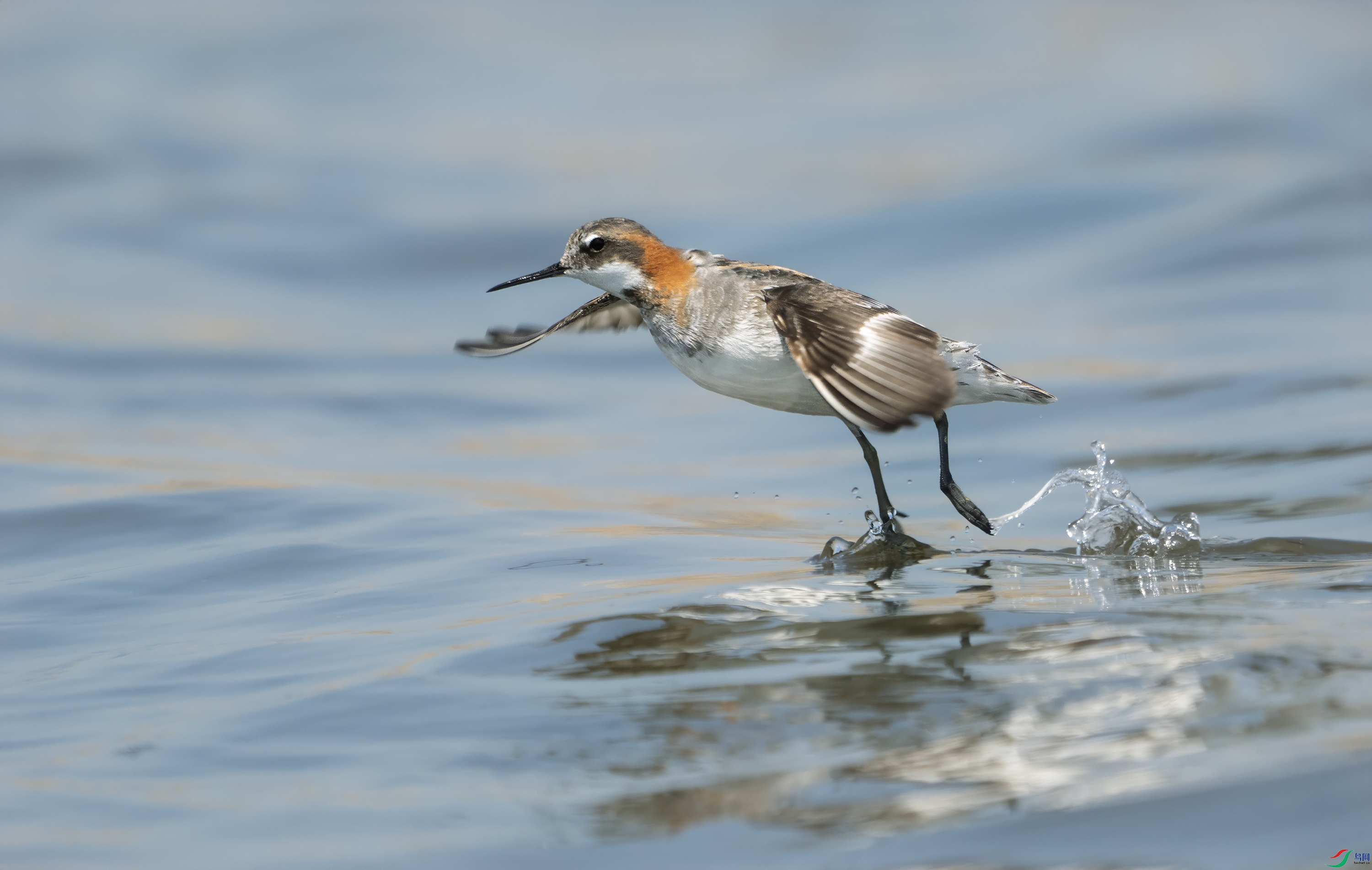 �쾱������ .jpg