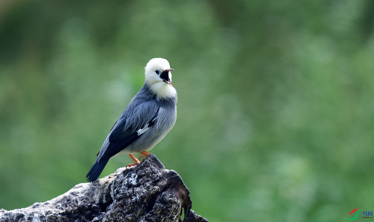 DSC_8867.JPG