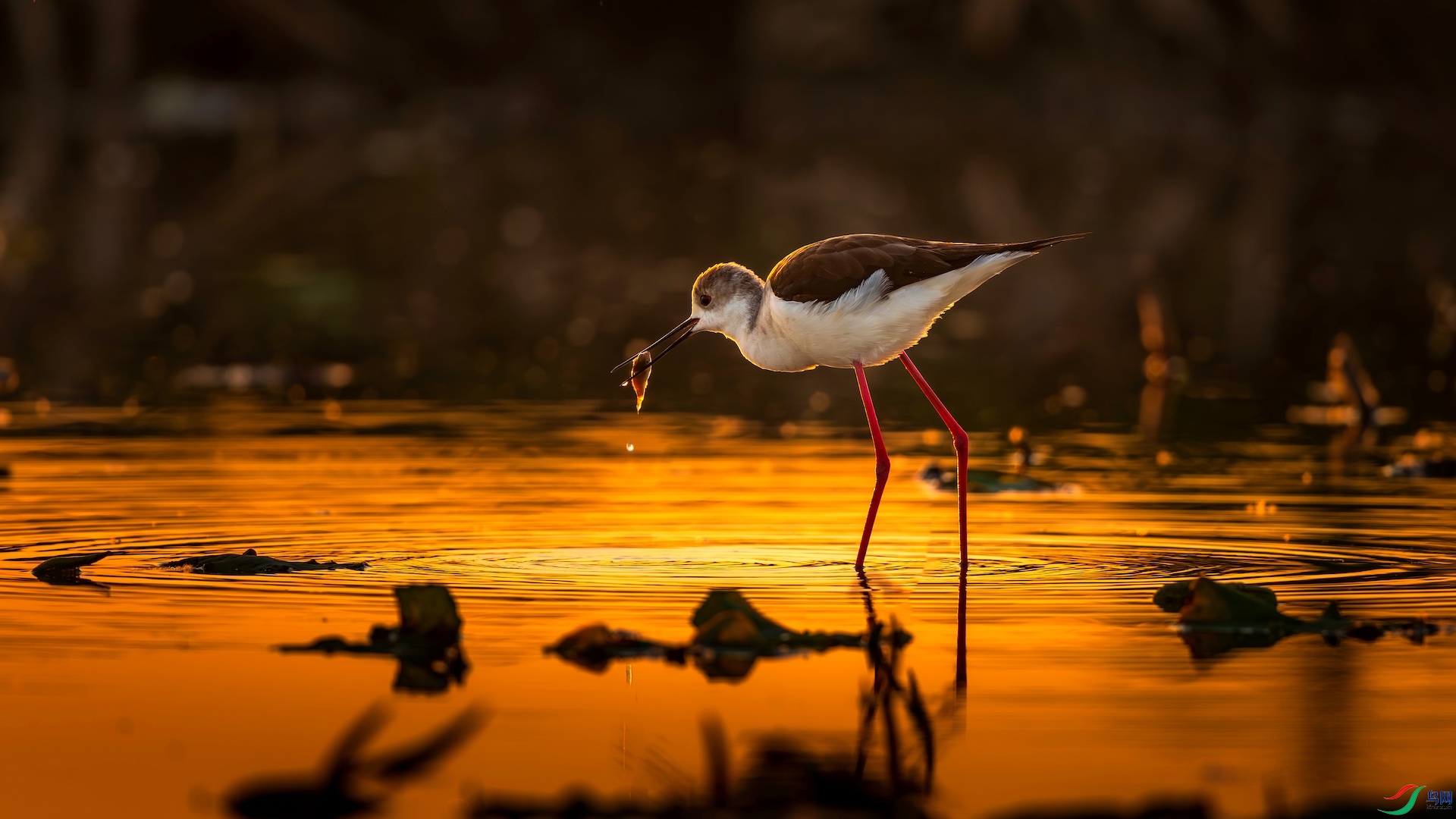 1_XXI1285-����ǿ-NR-1-1 2.jpeg