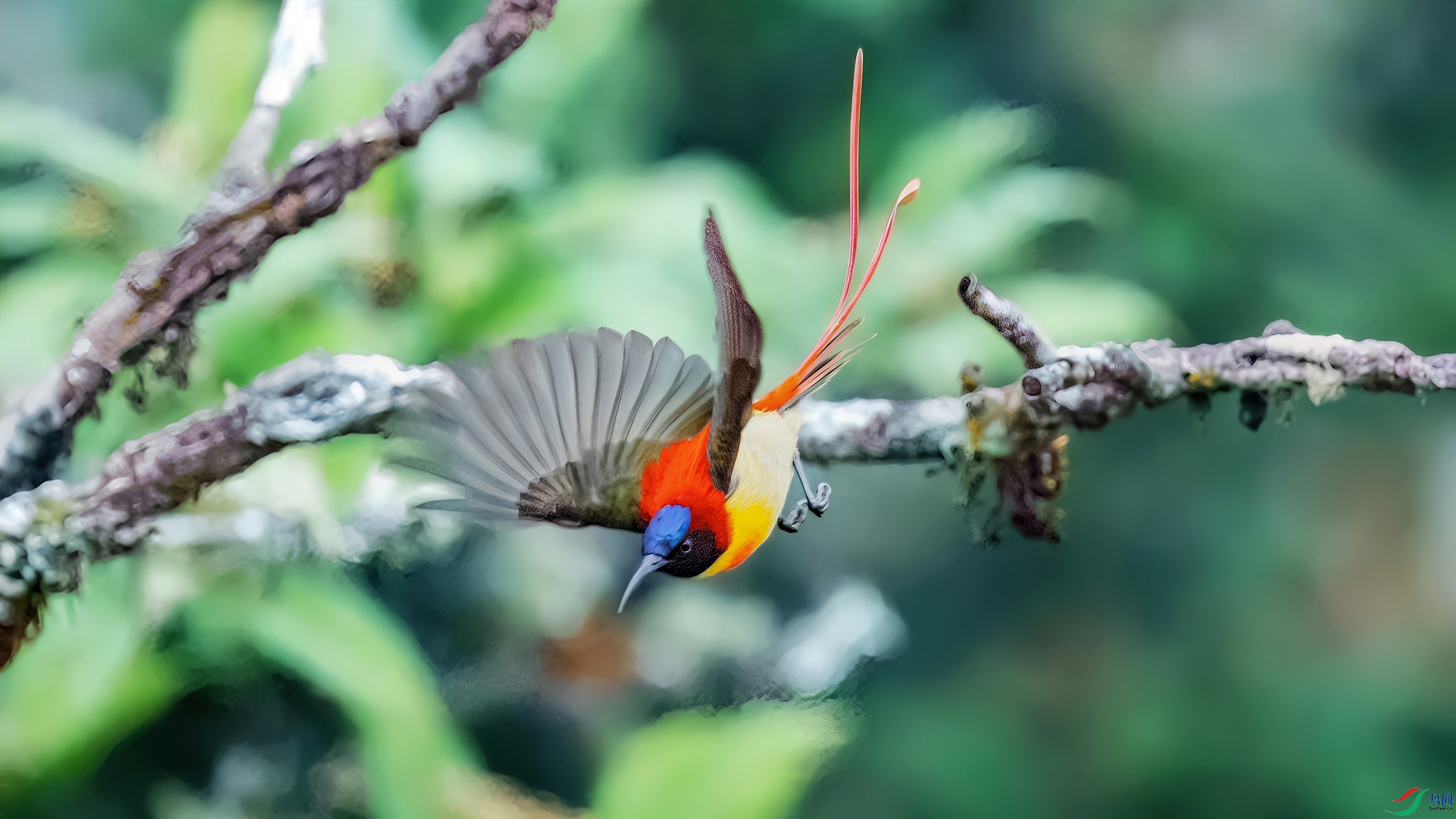 _DSC6578.jpg��_����-topaz-enhance-topaz-denoise_����_����.jpg