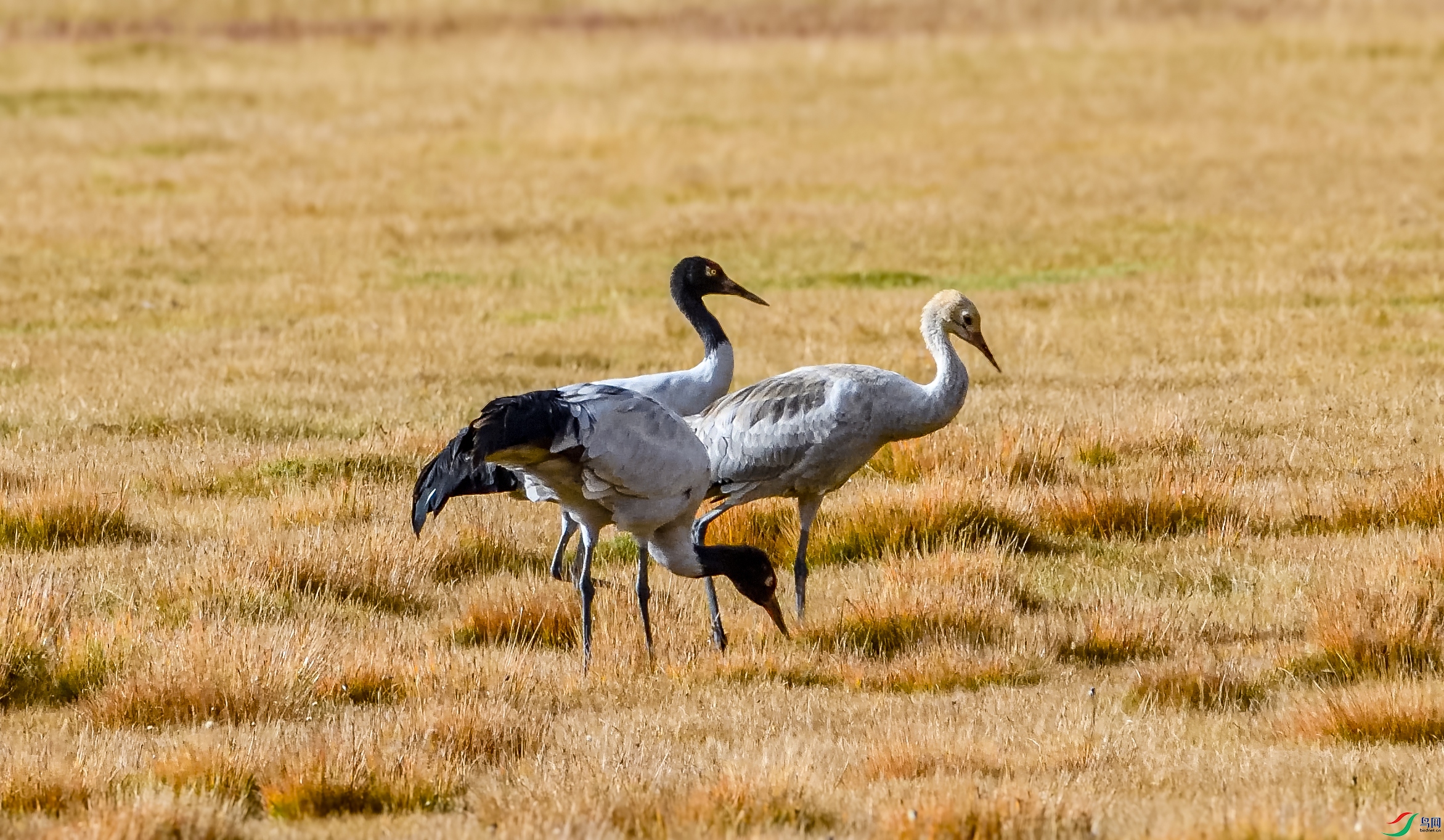 DSC_1189.JPG