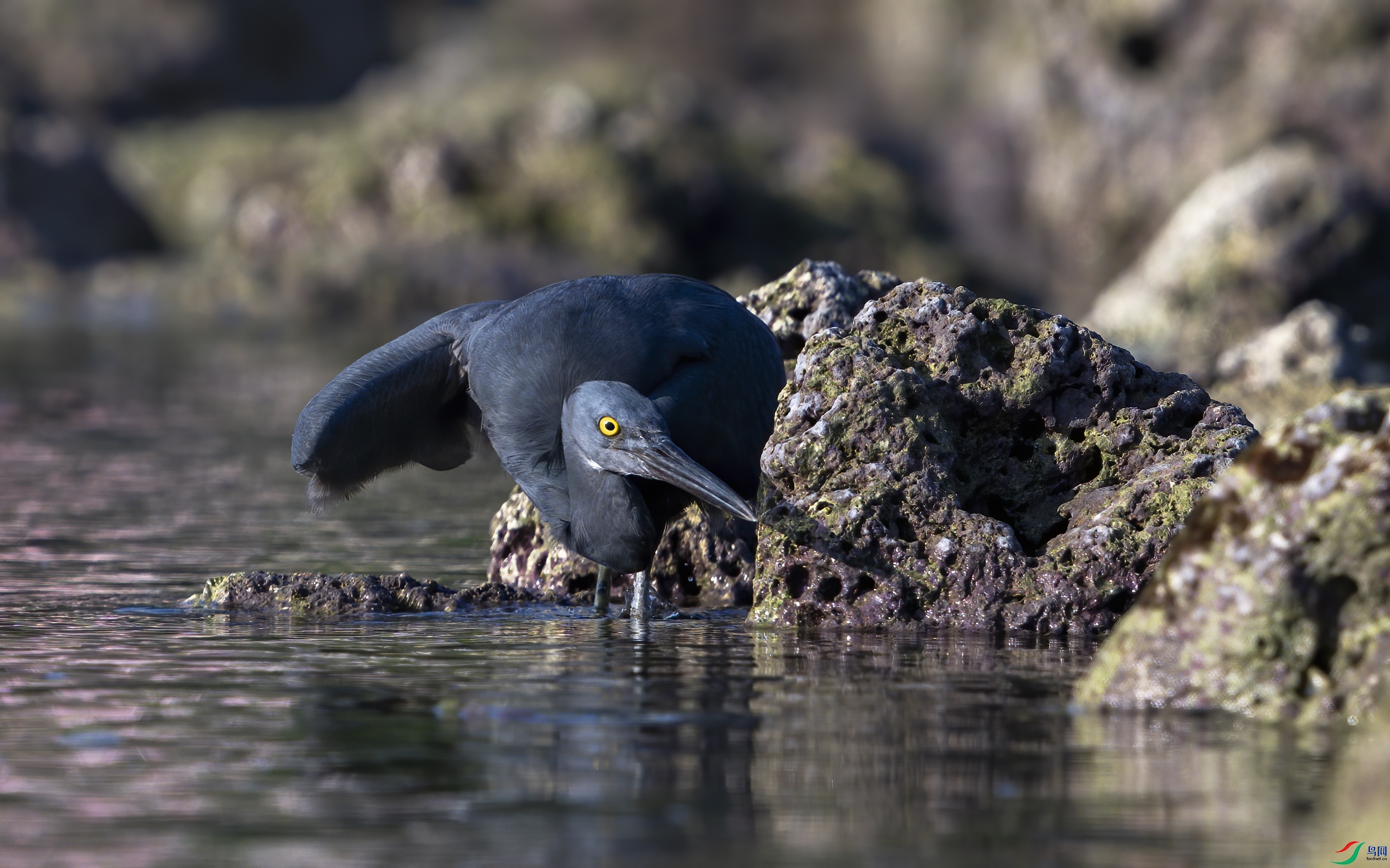 _DSC0521 ����.jpg