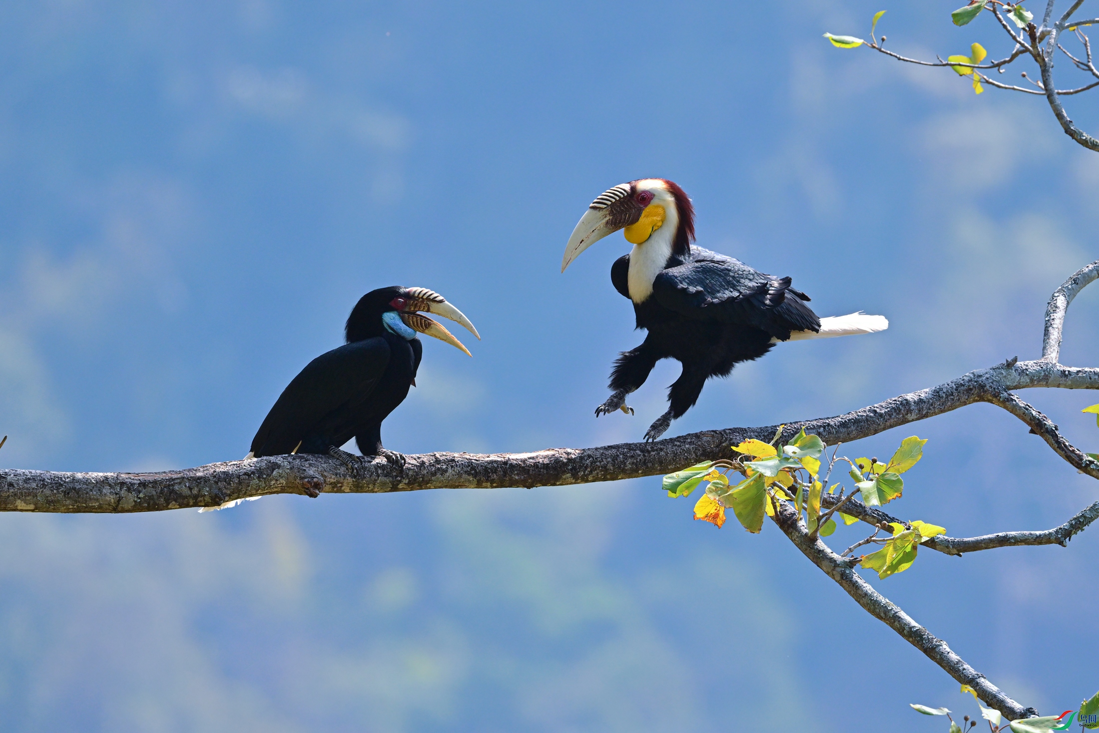 DSC_7530x.jpg