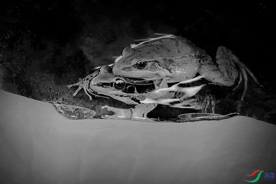 DSC_1365.jpg