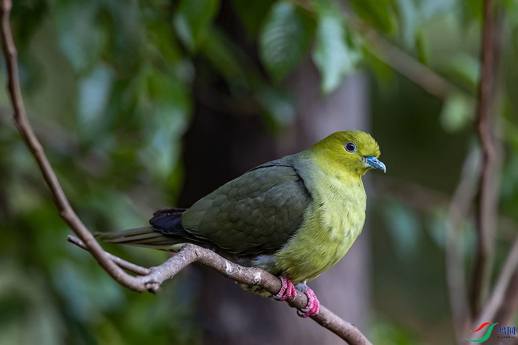 yn180221_2319_DxO ����.jpg