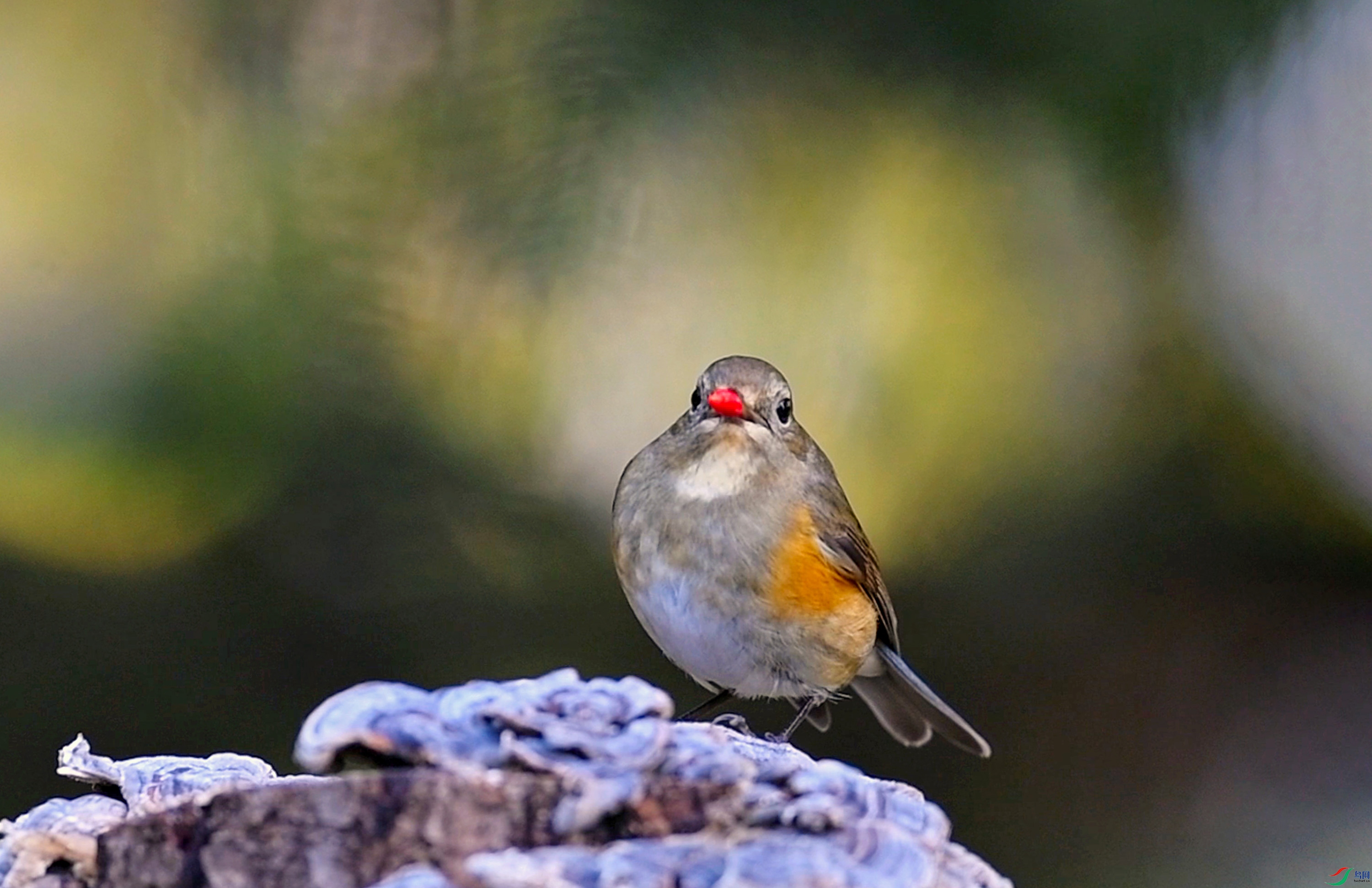 �tв��β��� ����(1).jpg