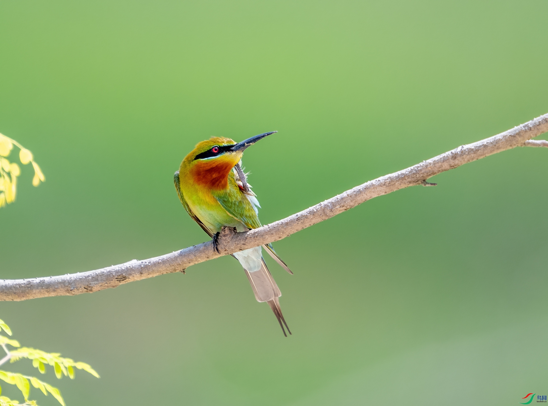 DSC_9586-1.jpg