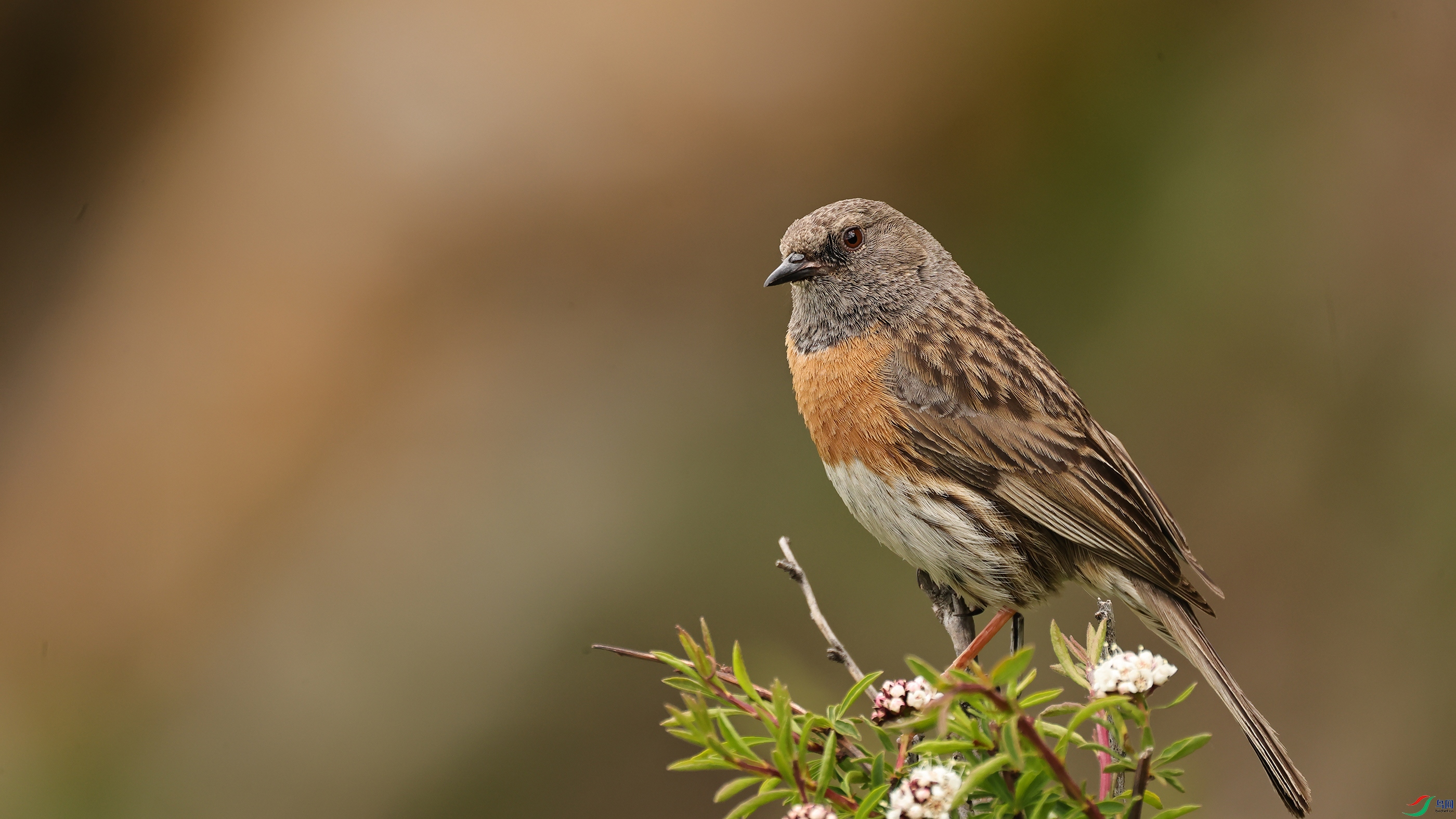 7X5A3467 ����000.jpg